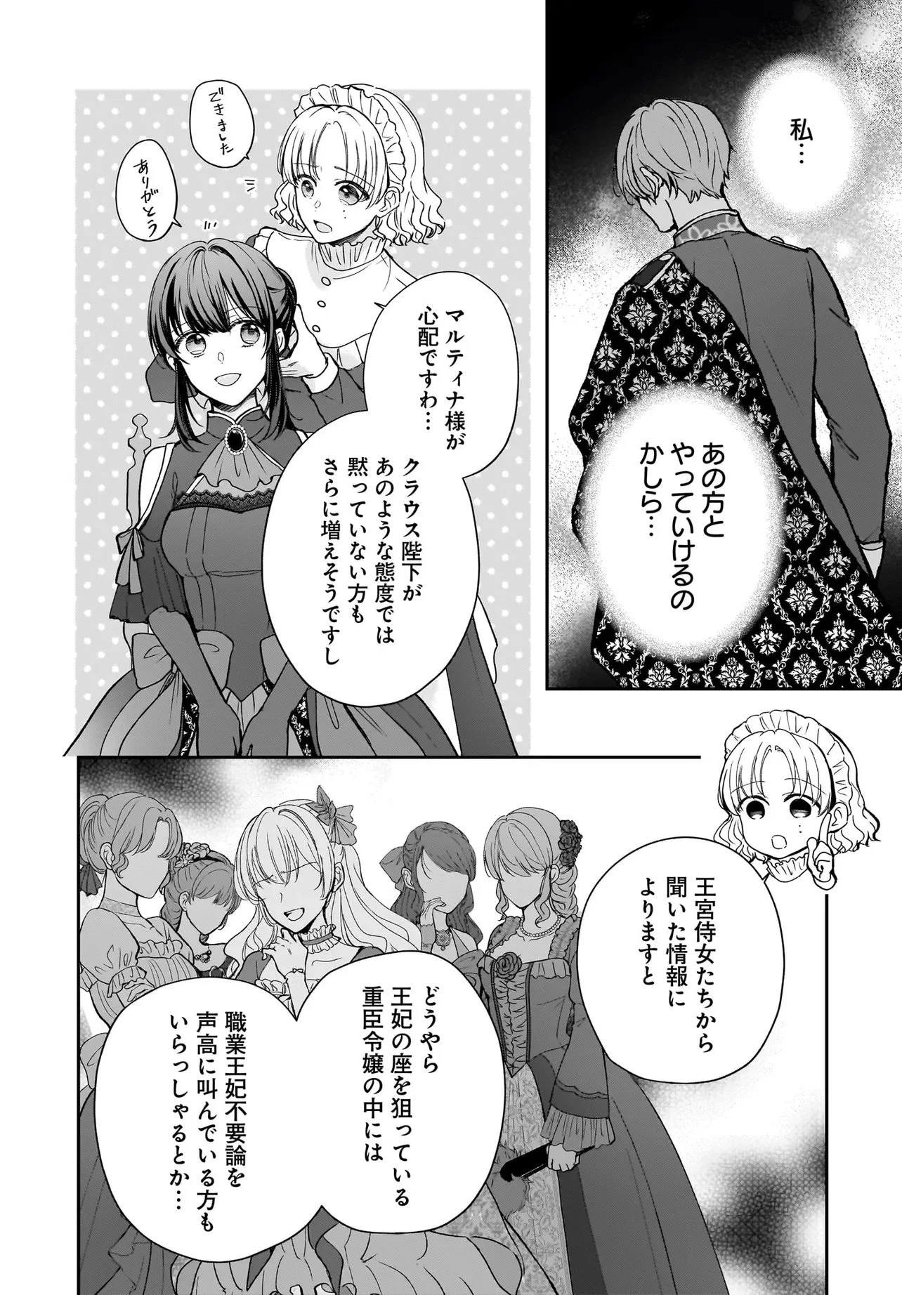 職業王妃ですので王の溺愛はご遠慮願います 第2話 - 20