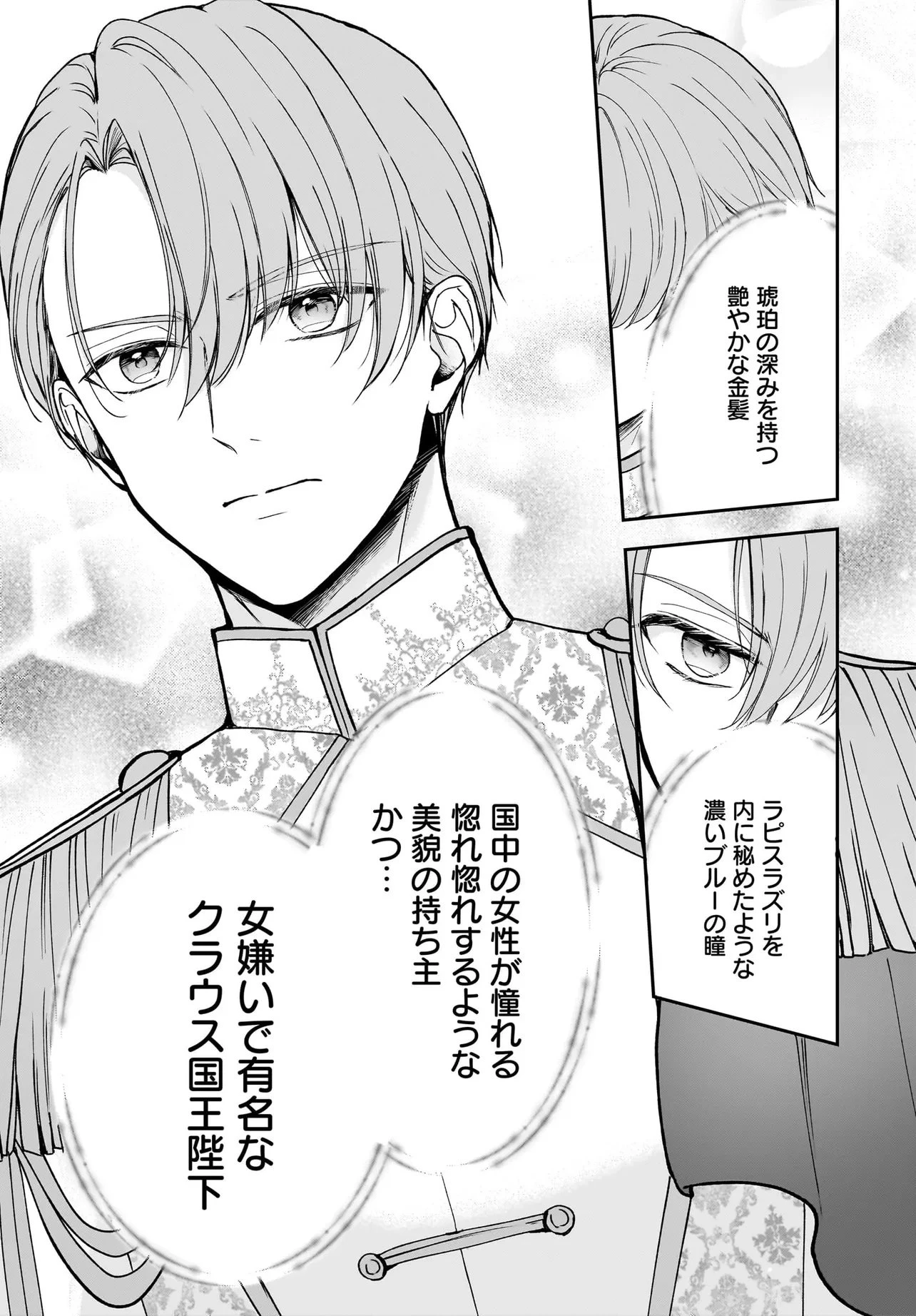 職業王妃ですので王の溺愛はご遠慮願います 第1話 - 7