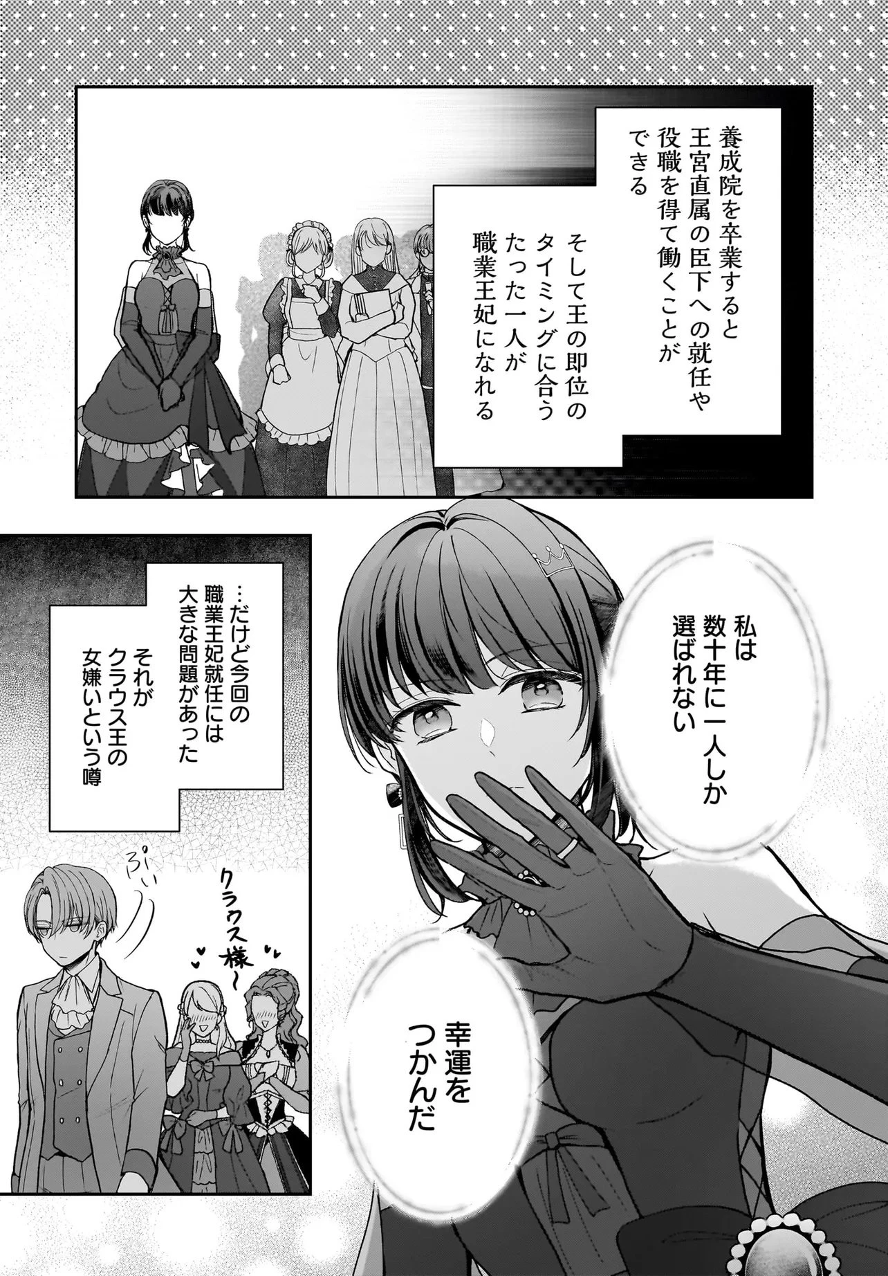 職業王妃ですので王の溺愛はご遠慮願います 第1話 - 23
