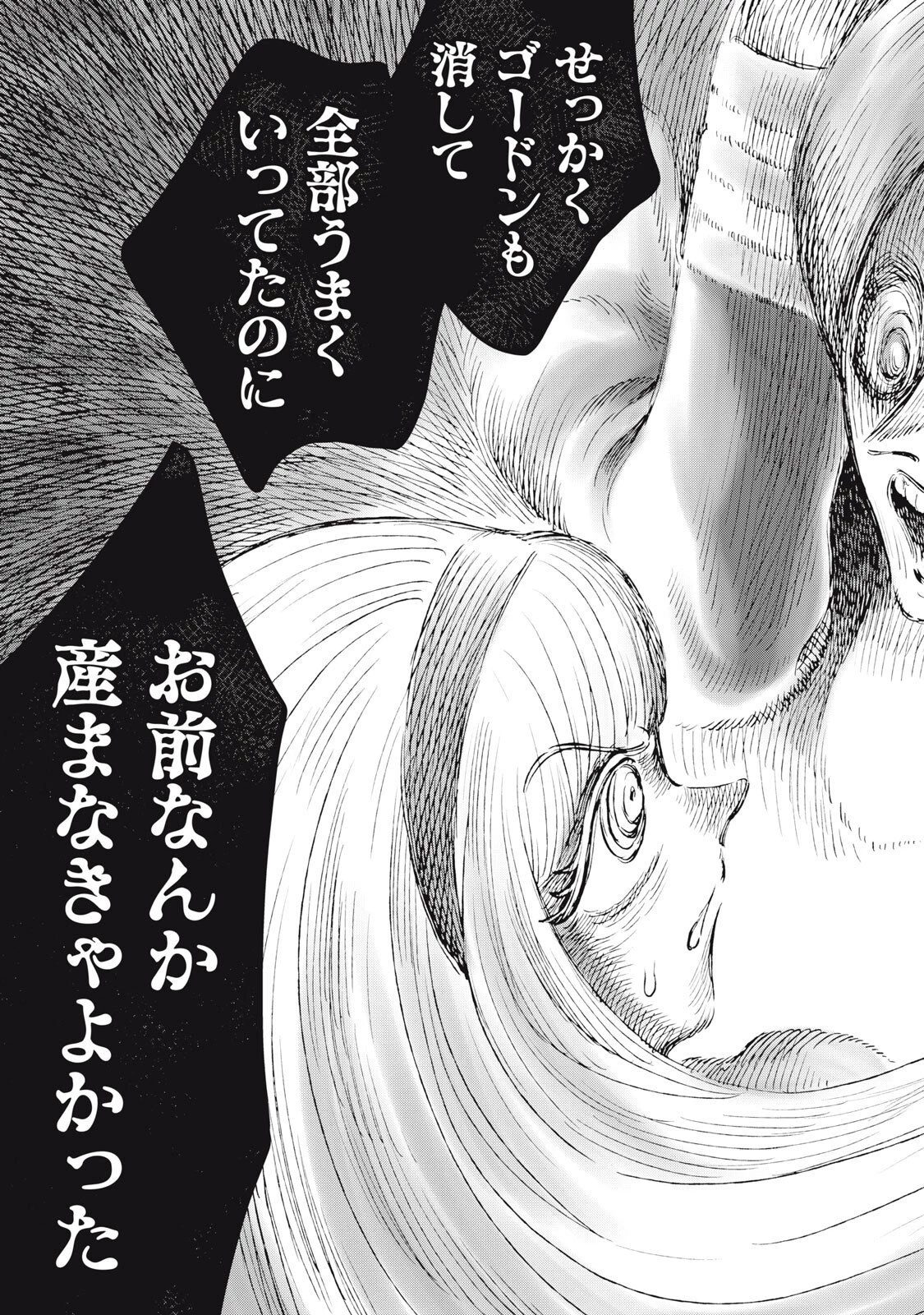 ただ静かに消え去るつもりでした 第19話 - 19