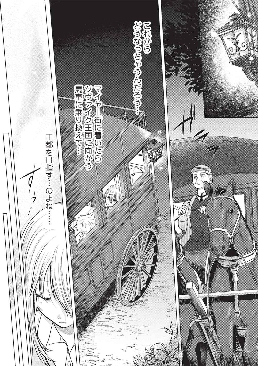 1年限りの契約婚(公爵様の溺愛付き!) ～英雄の継母になった私は、どうやら聖女の末裔のようです～ 第1話 - 17