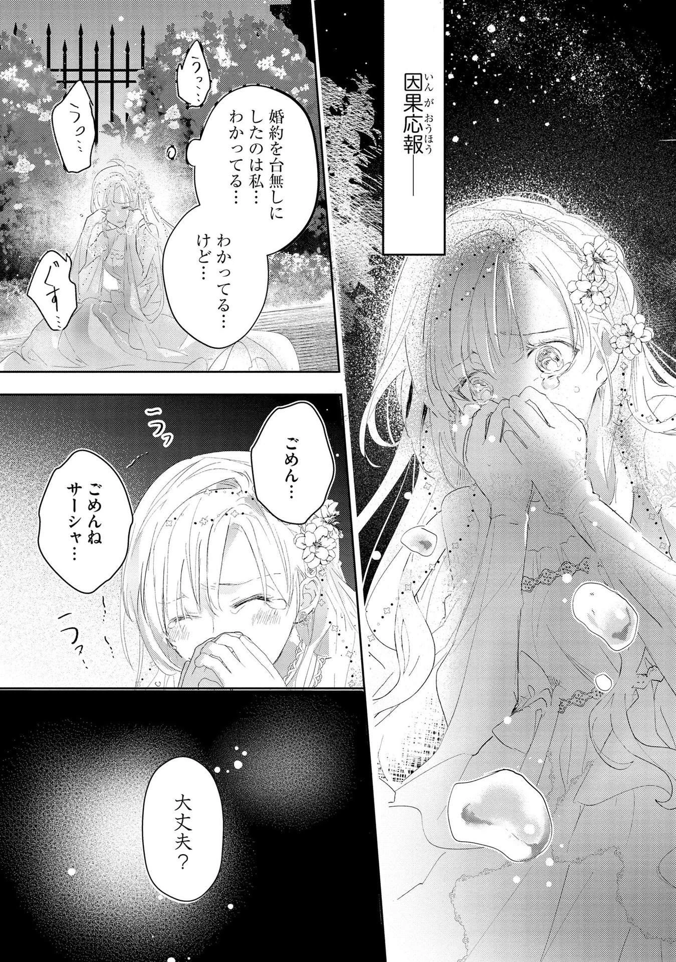 汚名を着せられ婚約破棄された伯爵令嬢は、結婚に理想は抱かない 第1話 - 25