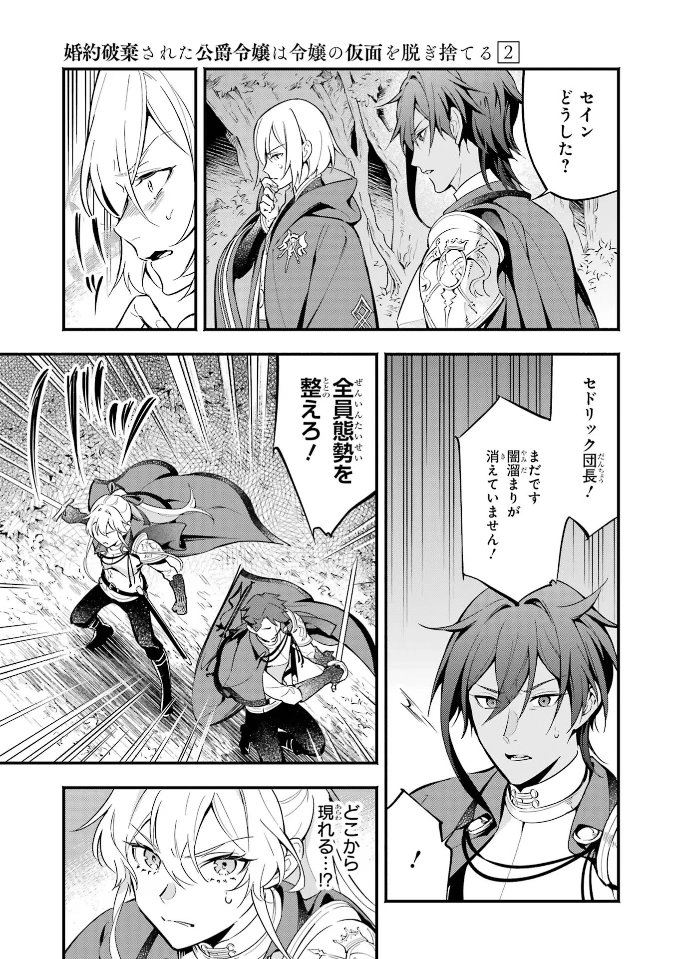 婚約破棄された公爵令嬢は令嬢の仮面を脱ぎ捨てる 第12話 - 33