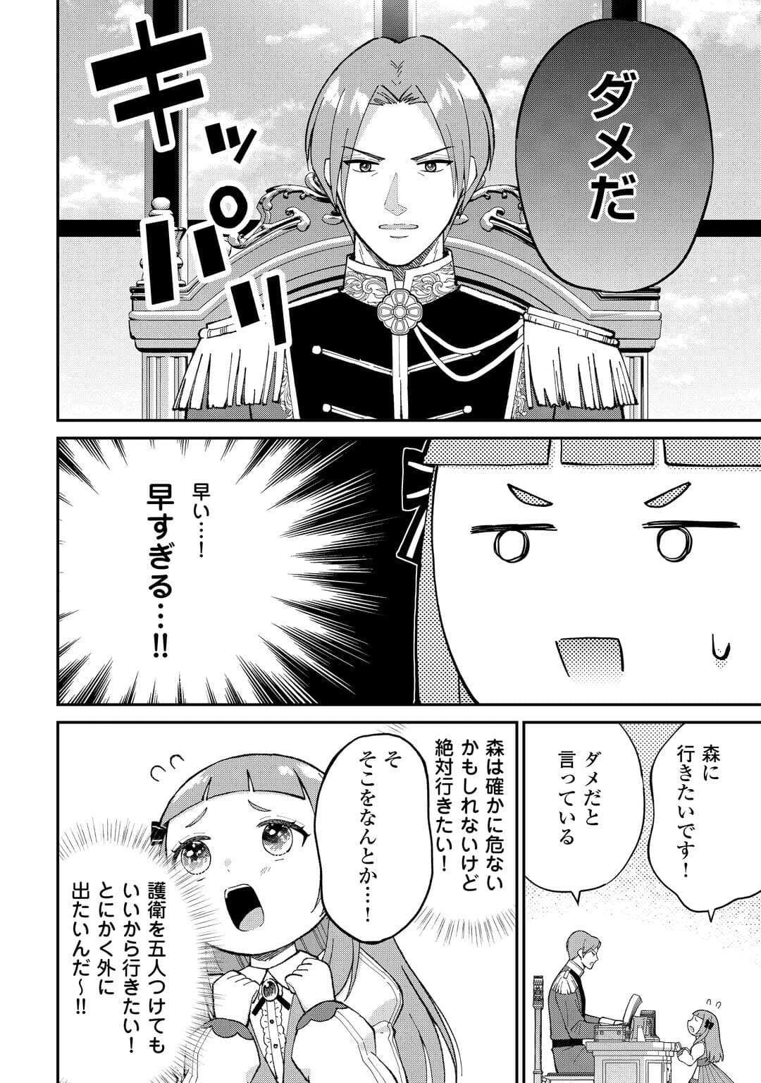 私の家族はハイスペックです! 落ちこぼれ転生末姫ですが溺愛されつつ世界救っちゃいます! 第6話 - 12