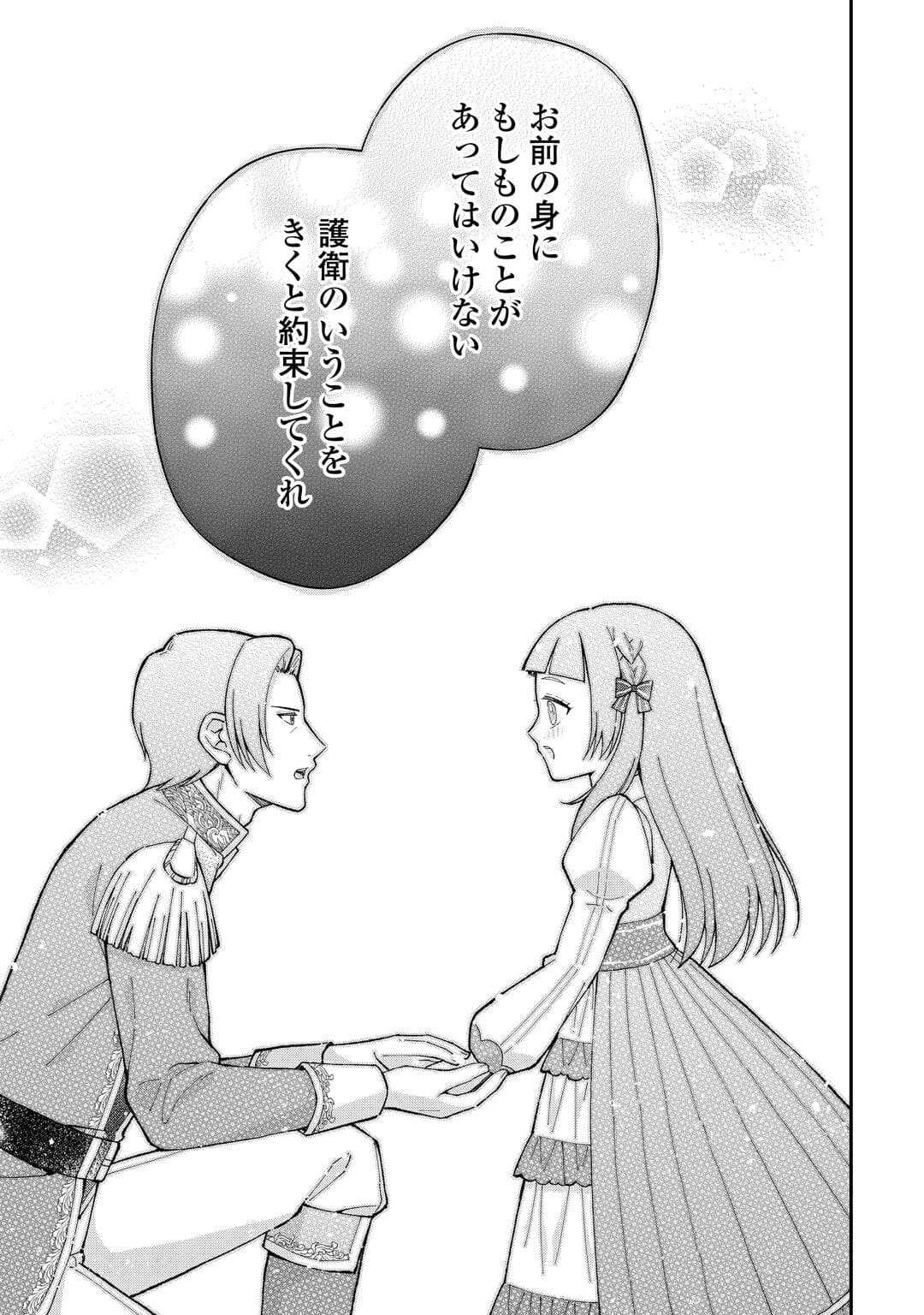 私の家族はハイスペックです! 落ちこぼれ転生末姫ですが溺愛されつつ世界救っちゃいます! 第6話 - 15