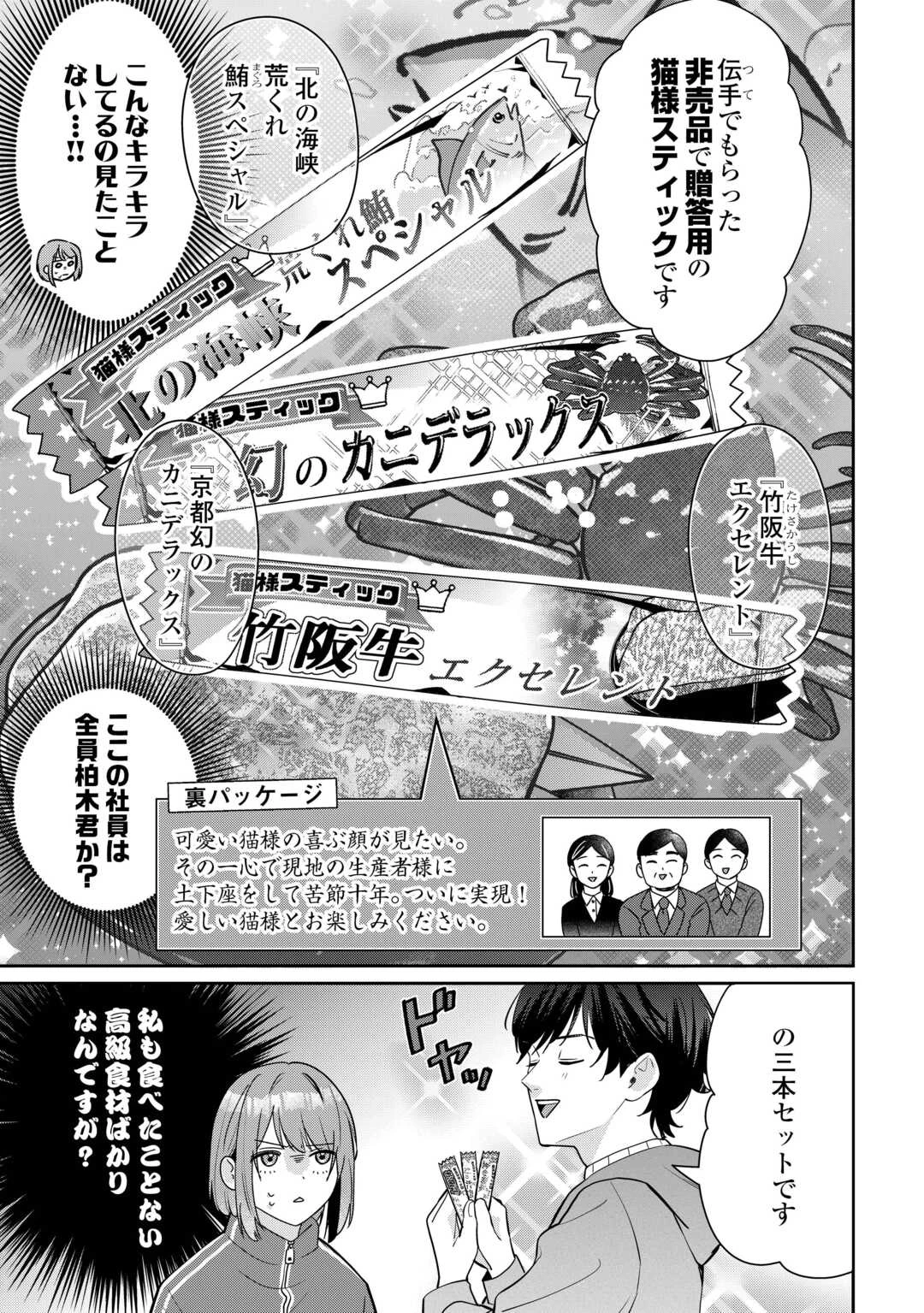 拾ったのが本当に猫かは疑わしい 第3話 - 11