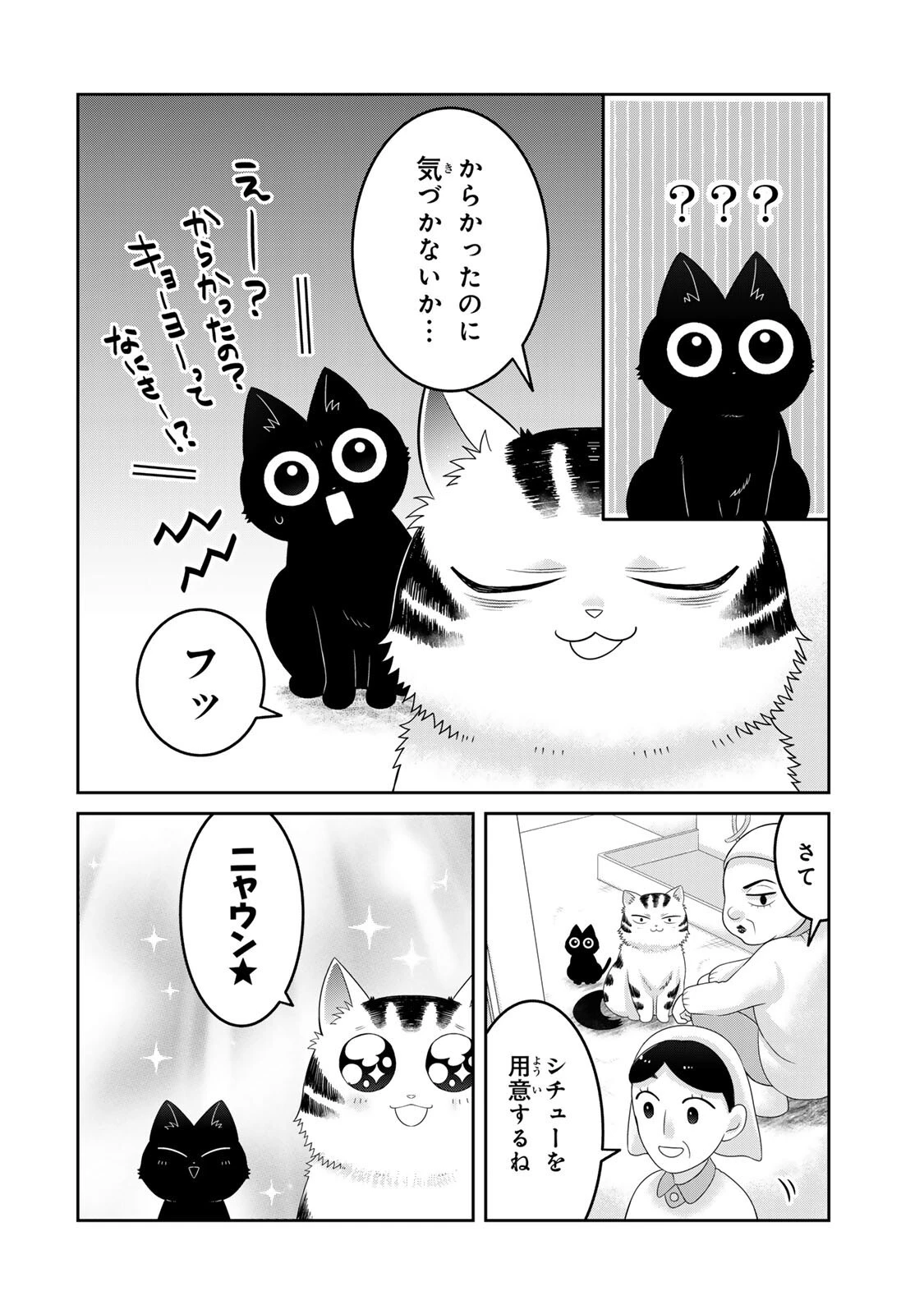 ルドルフとイッパイアッテナ 第3話 - 14