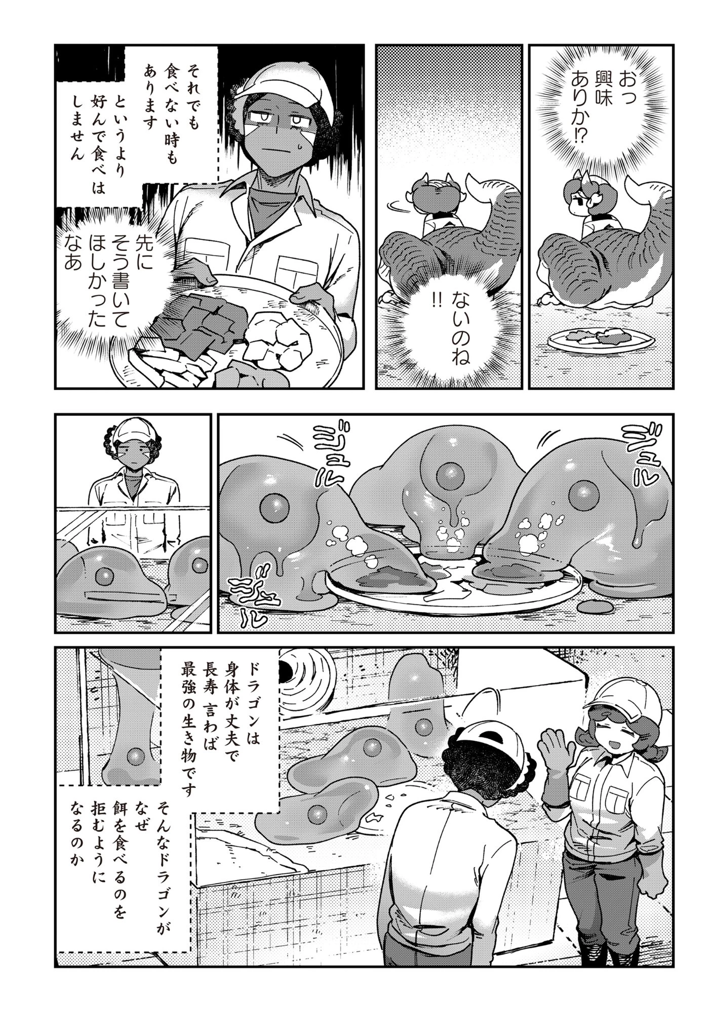 とうがらしドラゴンのシン 飼育員レージの観察日記 第4話 - 18