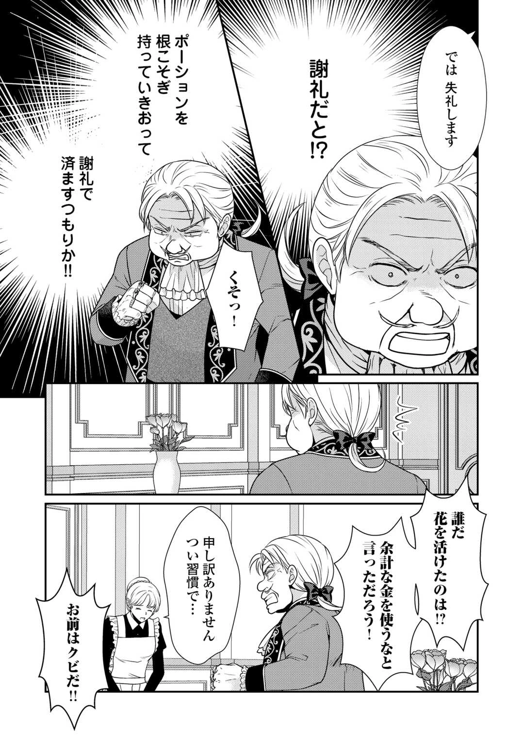 地味薬師令嬢はもう契約更新いたしません。 ～ざまぁ? 没落? 私には関係ないことです～ 第10話 - 23