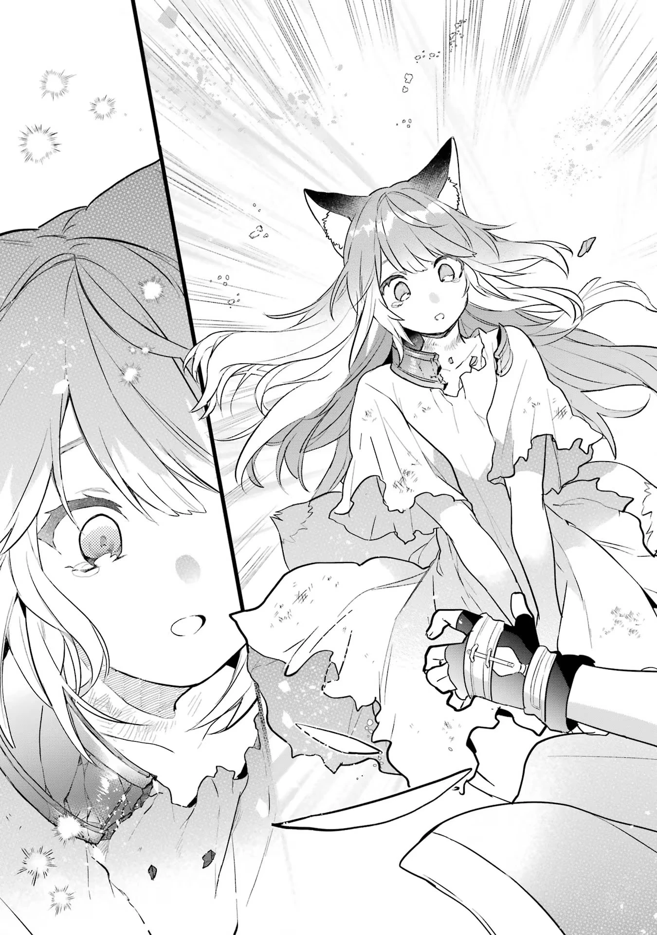 勇者パーティーを追放されたビーストテイマー、最強種族の猫耳少女と出会う 第57話 - 13