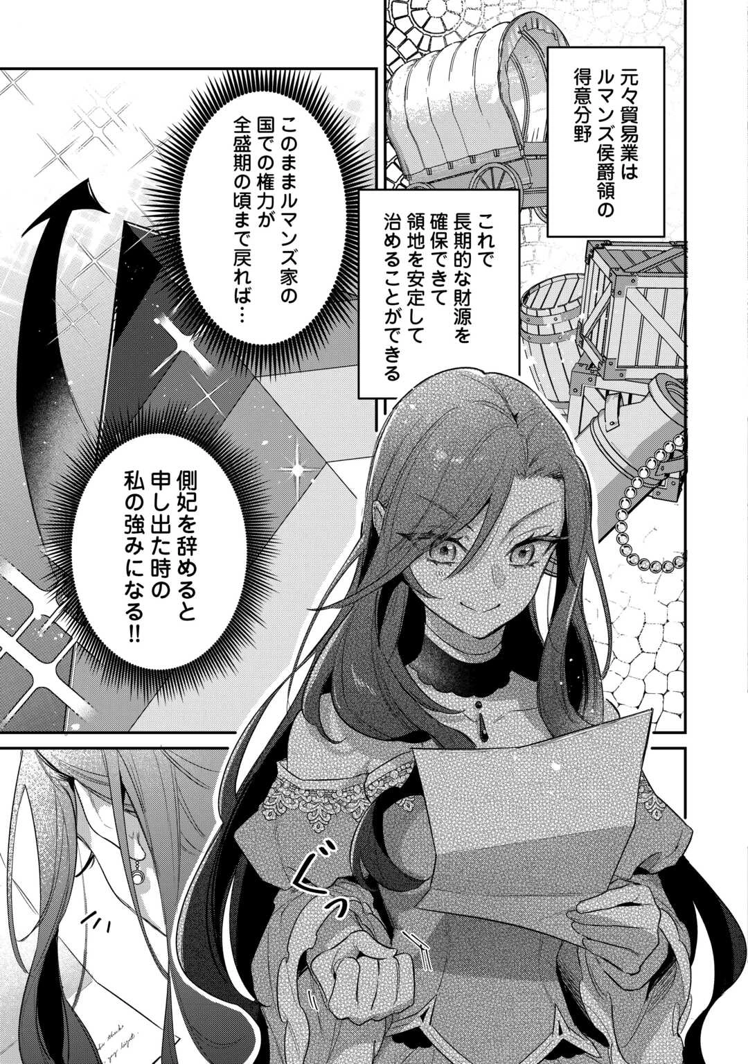 側妃のお仕事は終了です。 第4話 - 27