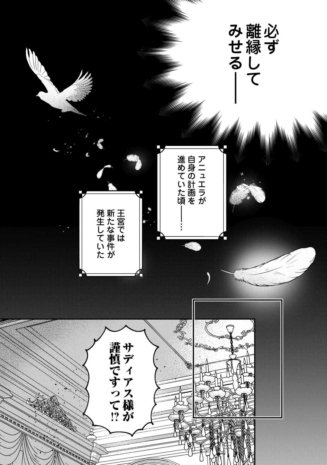 側妃のお仕事は終了です。 第4話 - 30