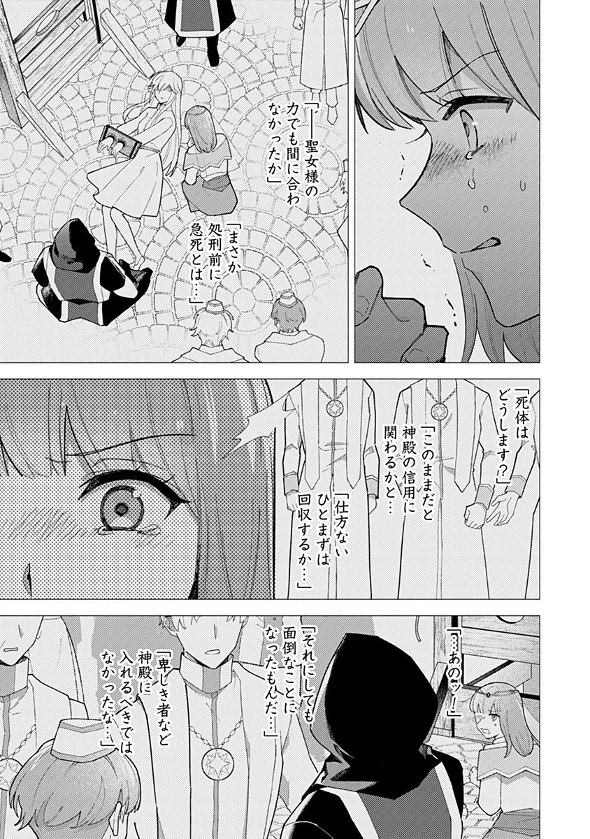 用済み聖女と毒殺軍師 ～毒の浄化ができる奇跡の聖女は私だけらしいです～ 第19話 - 3