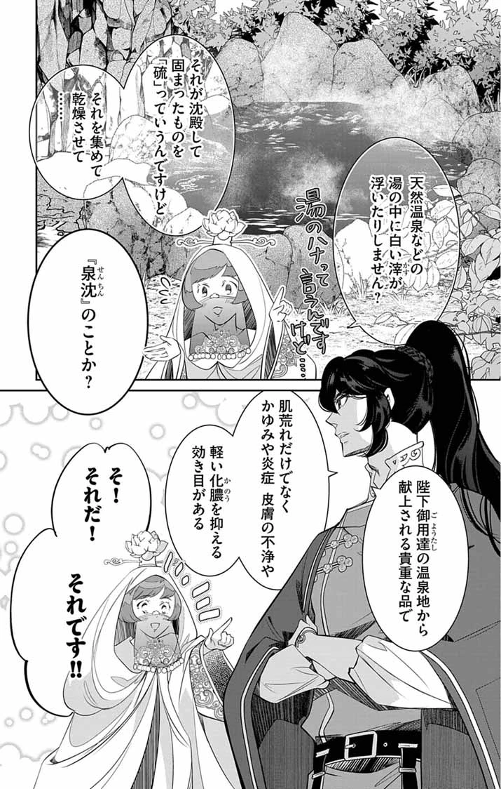 後宮の影公主～呪術師は謎を読む～ 第10話 - 17