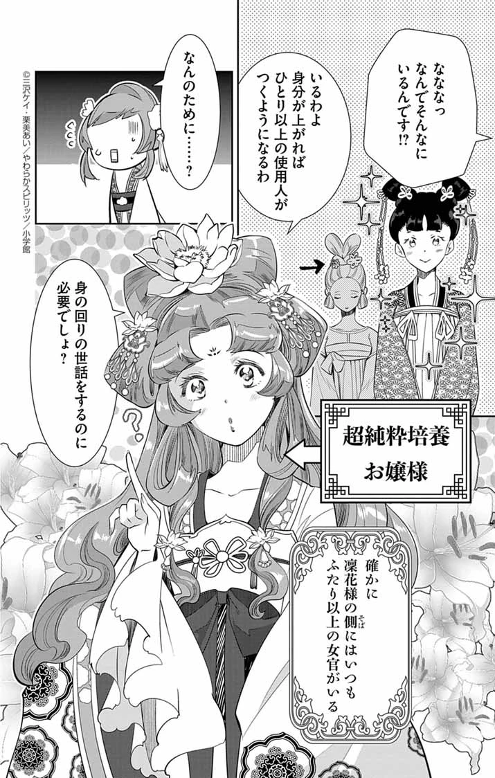 後宮の影公主～呪術師は謎を読む～ 第9話 - 4