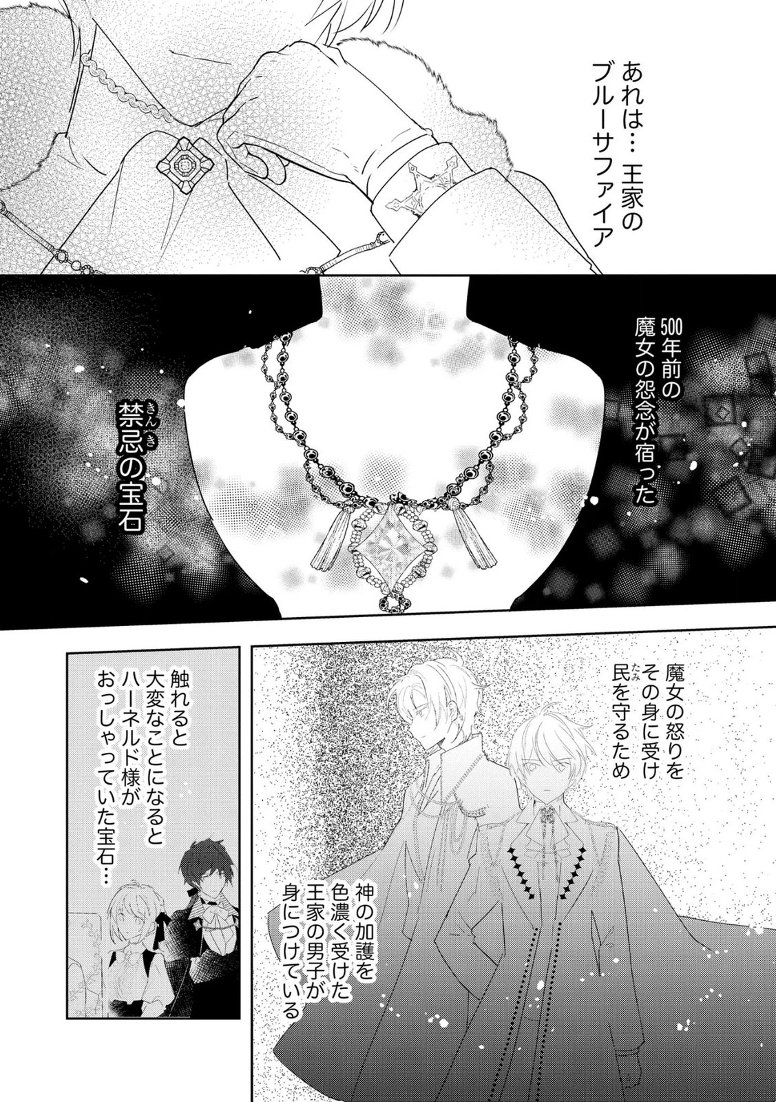 汚名を着せられ婚約破棄された伯爵令嬢は、結婚に理想は抱かない 第15話 - 10