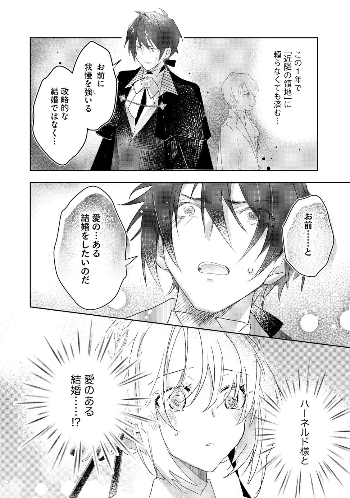 汚名を着せられ婚約破棄された伯爵令嬢は、結婚に理想は抱かない 第13話 - 12