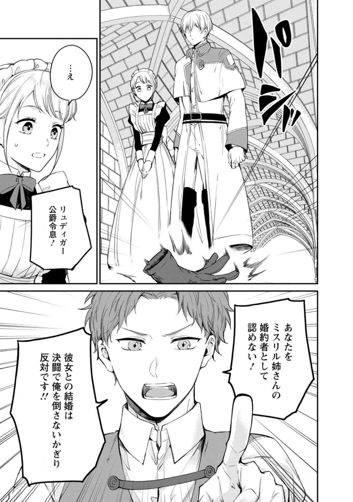 婚約破棄されたのでお掃除メイドになったら笑わない貴公子様に溺愛されました 第24話 - 9