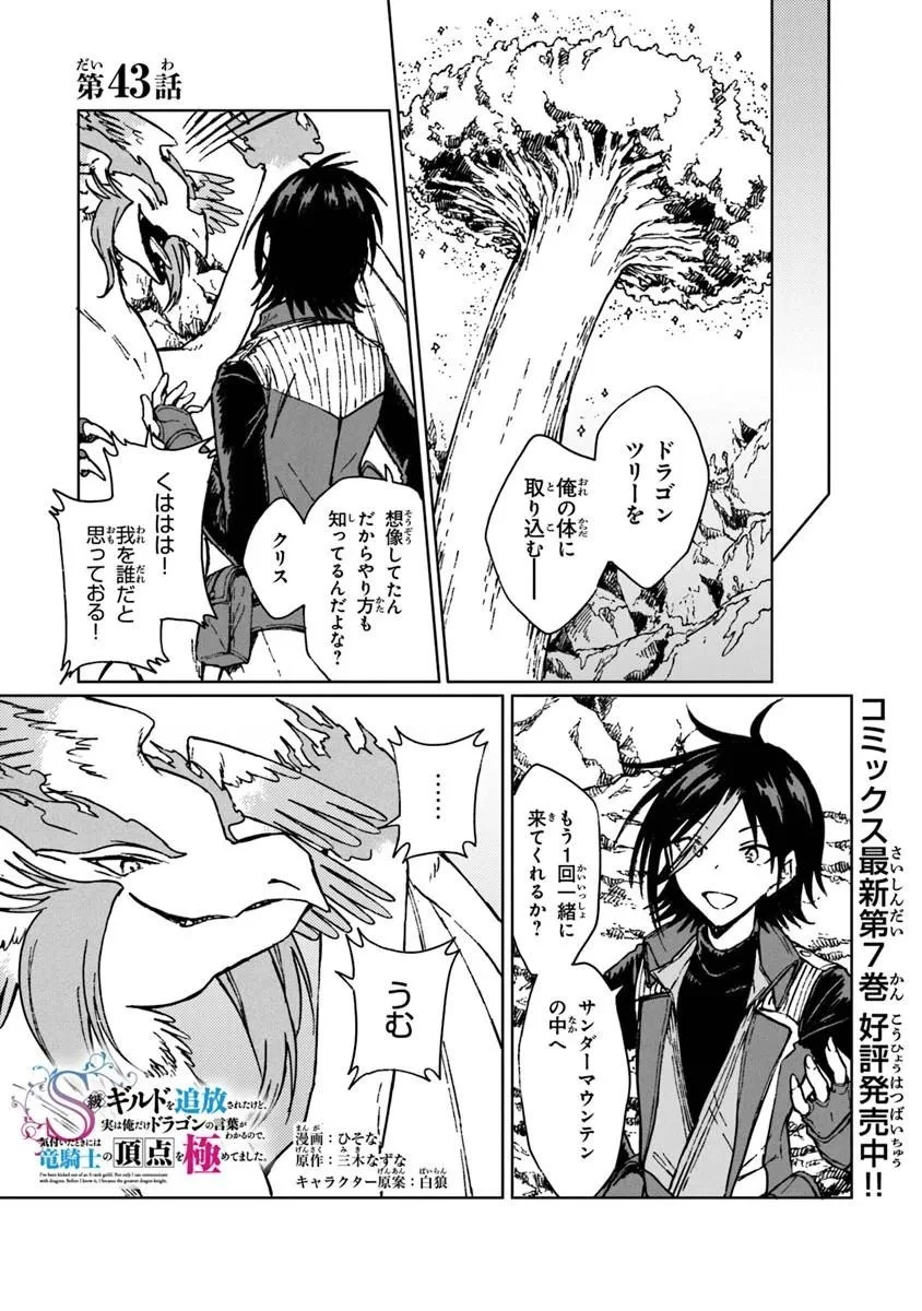 S級ギルドを追放されたけど、実は俺だけドラゴンの言葉がわかるので、気付いたときには竜騎士の頂点を極めてました。 第43話 - 1