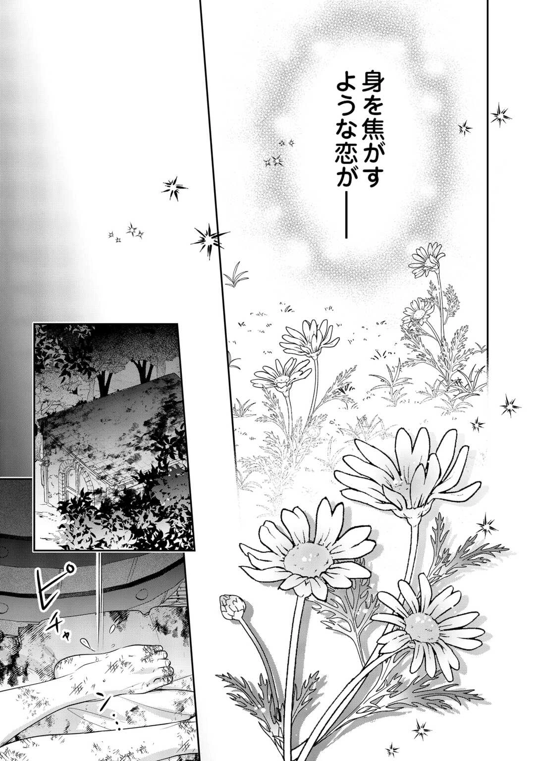 愛されない花嫁は初夜を一人で過ごす 第15話 - 21