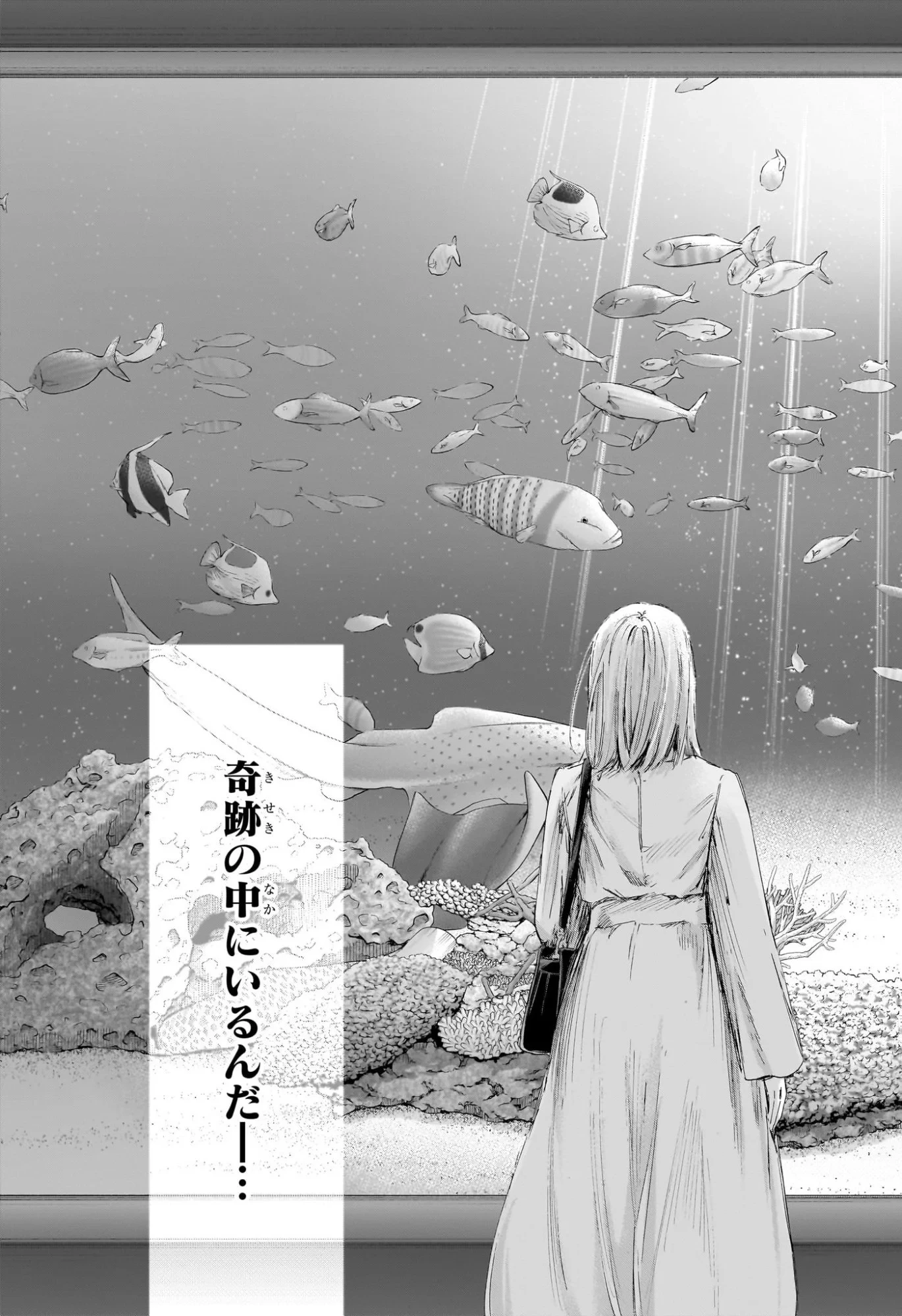 アオのハコ 第235話 - 12