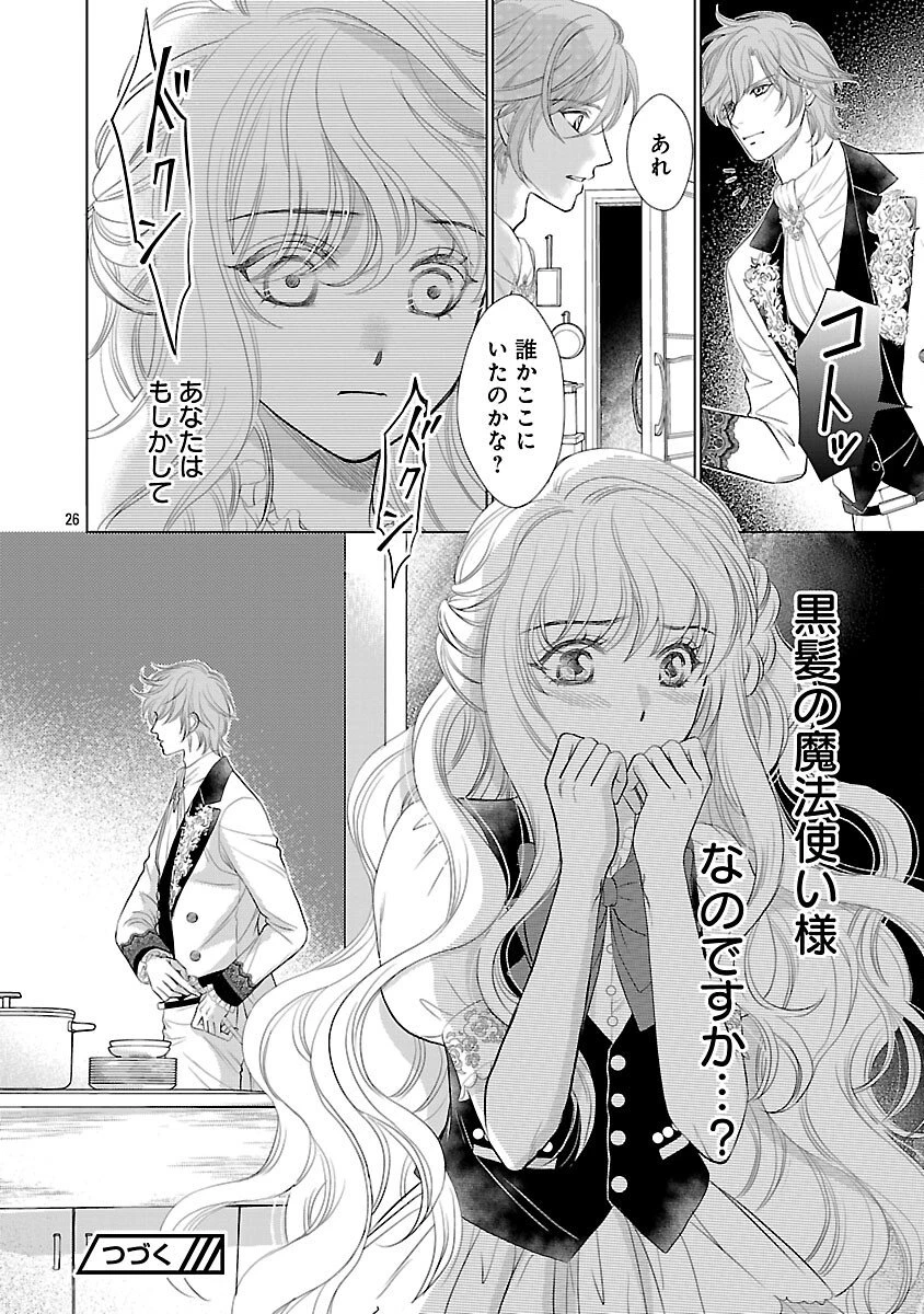 優しい婚約者の様子が変です〜お嬢様は黒髪の魔法使いに恋をする〜 第11話 - 28