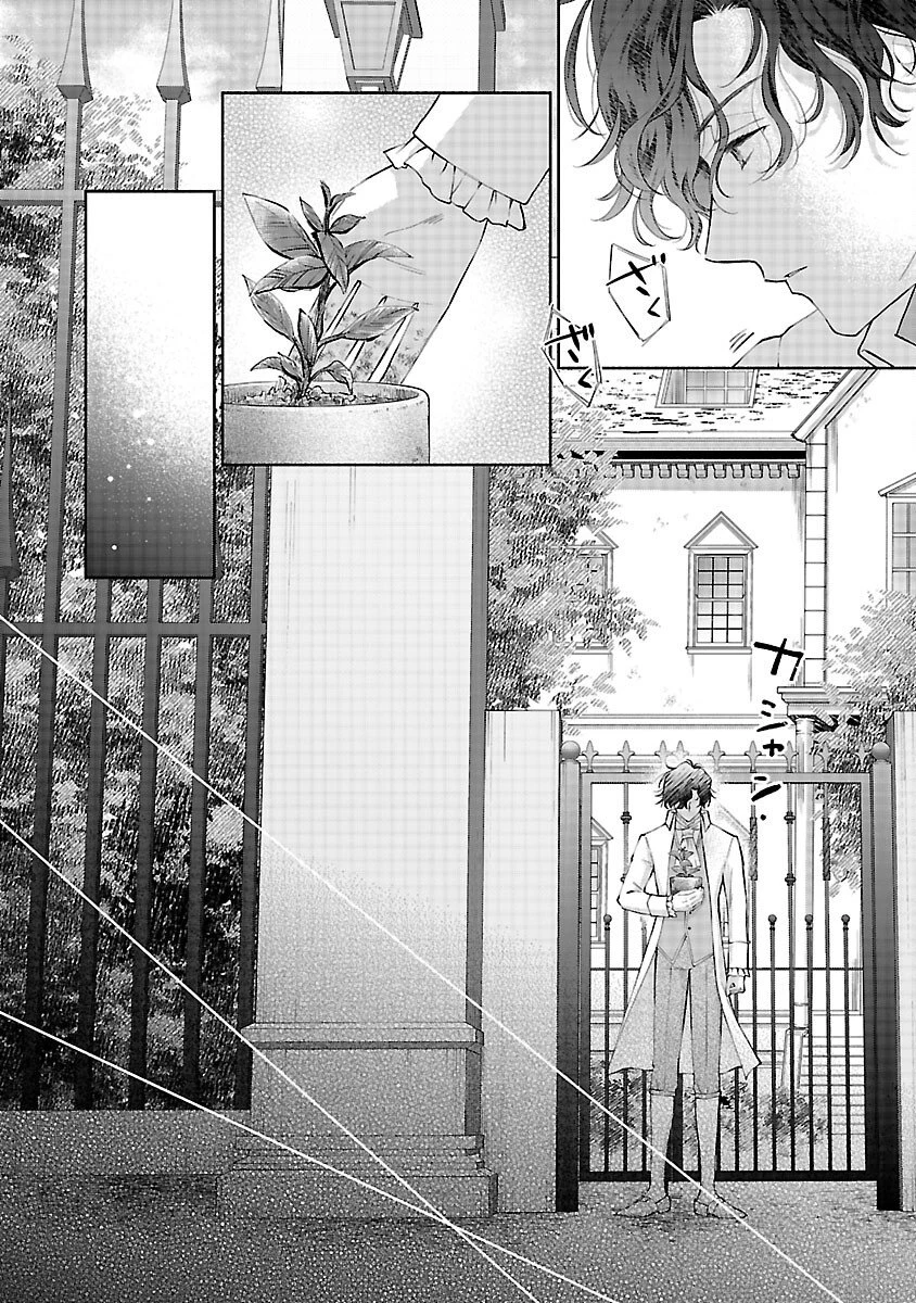 白い結婚から三年。旦那様、私と離縁してください 第20話 - 10