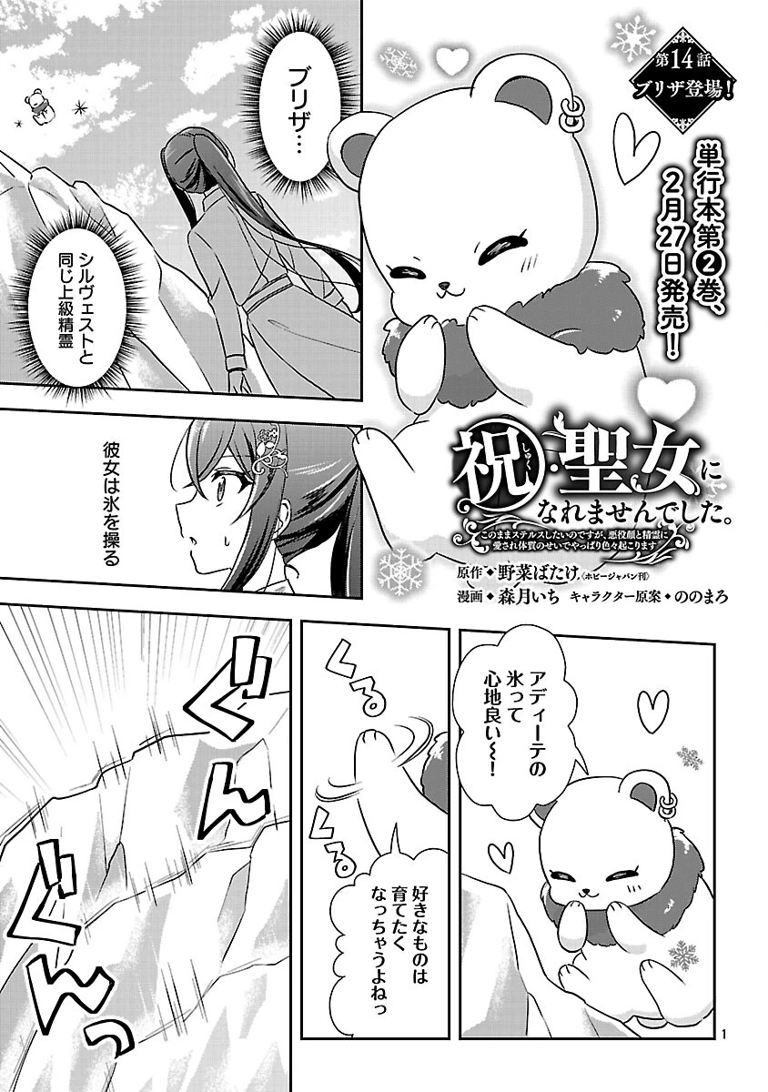 祝・聖女になれませんでした。 このままステルスしたいのですが、悪役顔と精霊に愛され体質のせいでやっぱり色々起こります 第14話 - 3