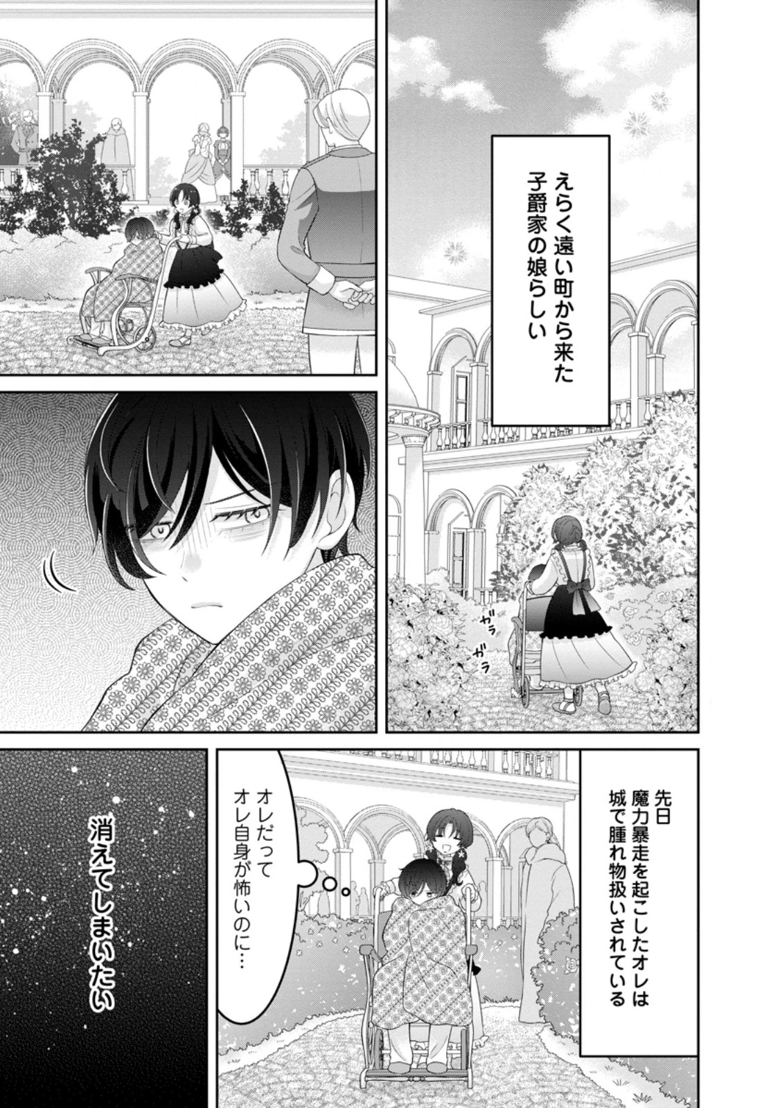 前世の記憶を取り戻したので最愛の夫と離縁します～悪女と評判でしたが天才治癒師として開花したら、なぜか聖女が自爆しました～ 第8話 - 3