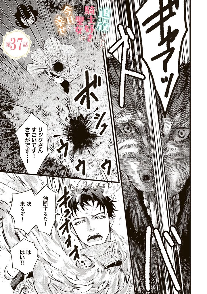 追放された騎士好き聖女は今日も幸せ 真の聖女らしい義妹をいじめたという罪で婚約破棄されたけど、憧れの騎士団の寮で働けることになりました！ 第37話 - 1