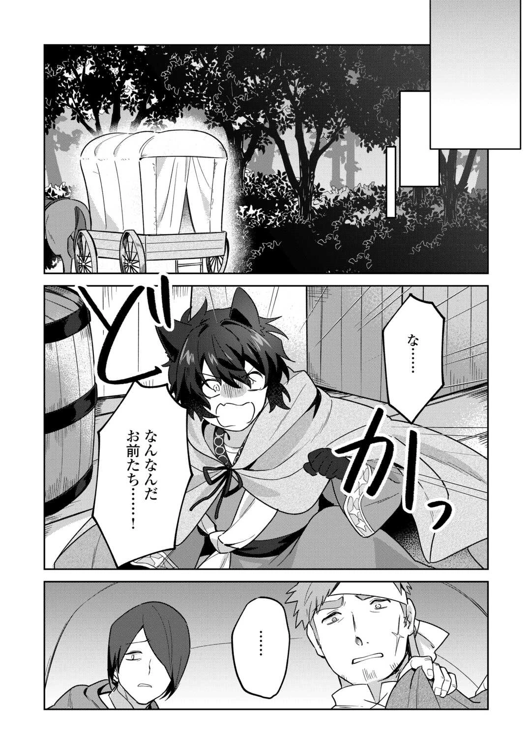 双子の王子に双子で婚約したけど「じゃない方」だから闇魔法を極める 第1話 - 14