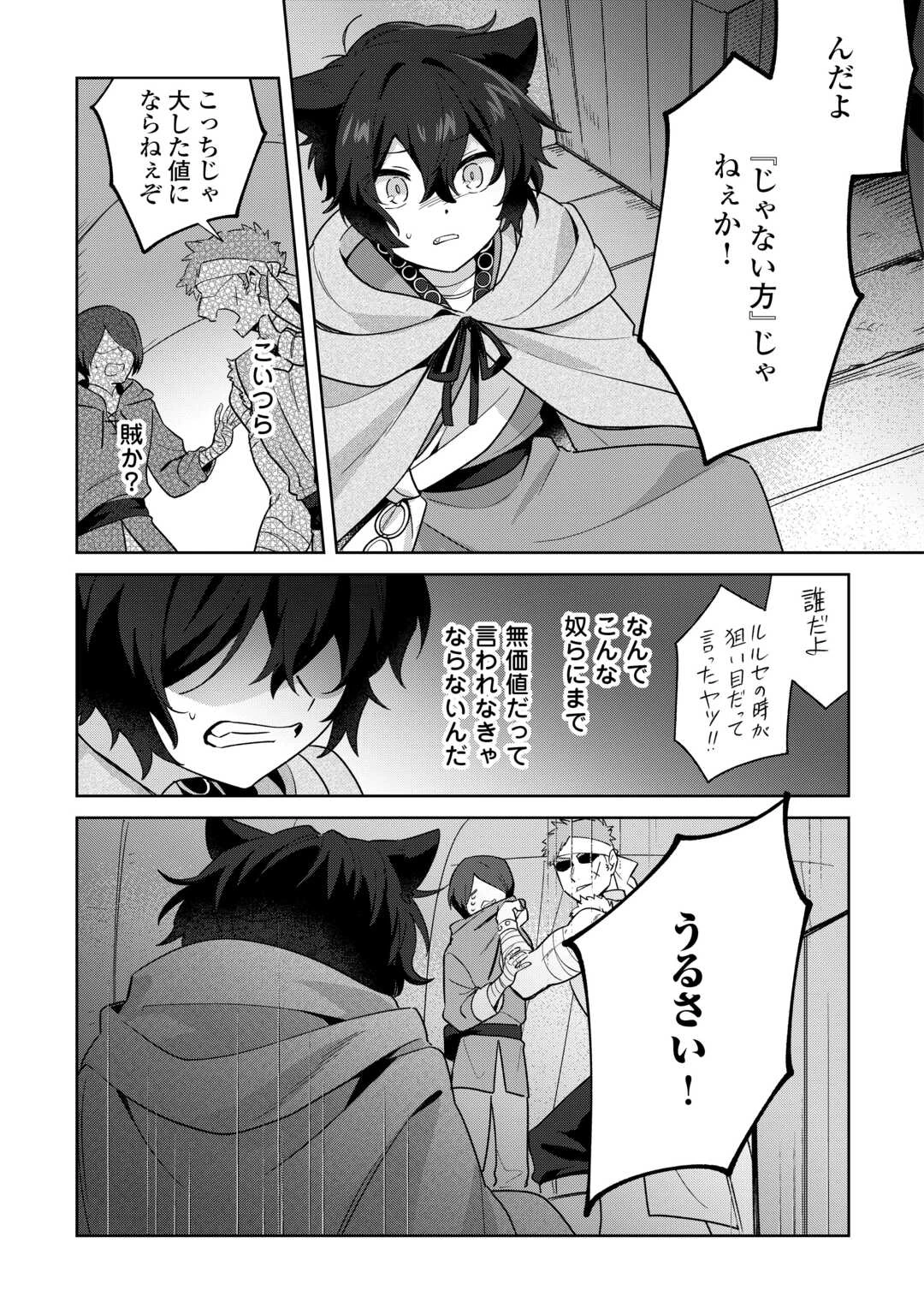 双子の王子に双子で婚約したけど「じゃない方」だから闇魔法を極める 第1話 - 15