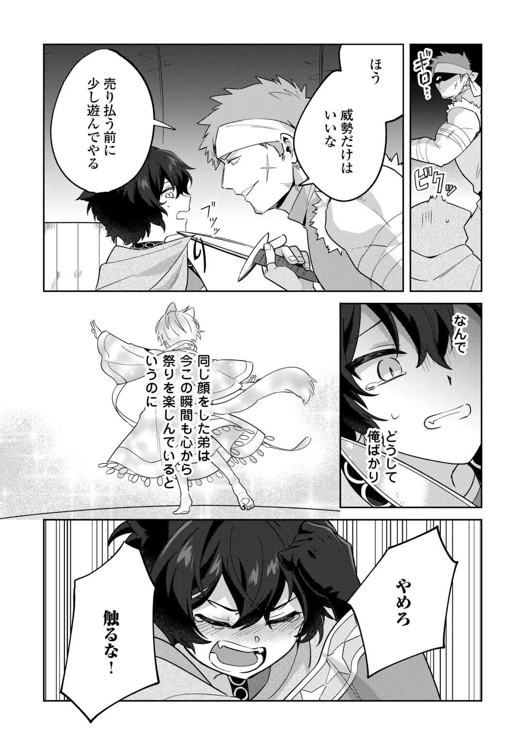 双子の王子に双子で婚約したけど「じゃない方」だから闇魔法を極める 第1話 - 16