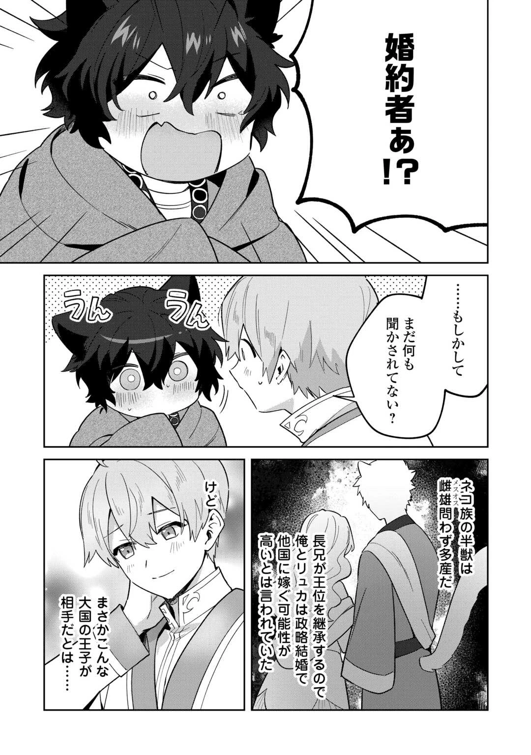 双子の王子に双子で婚約したけど「じゃない方」だから闇魔法を極める 第1話 - 25