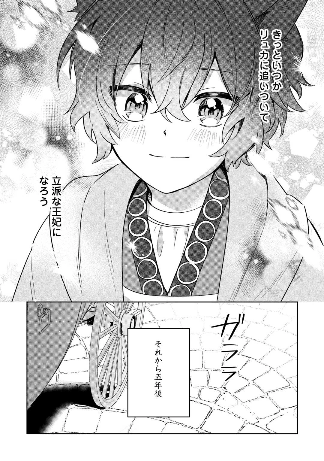 双子の王子に双子で婚約したけど「じゃない方」だから闇魔法を極める 第1話 - 36