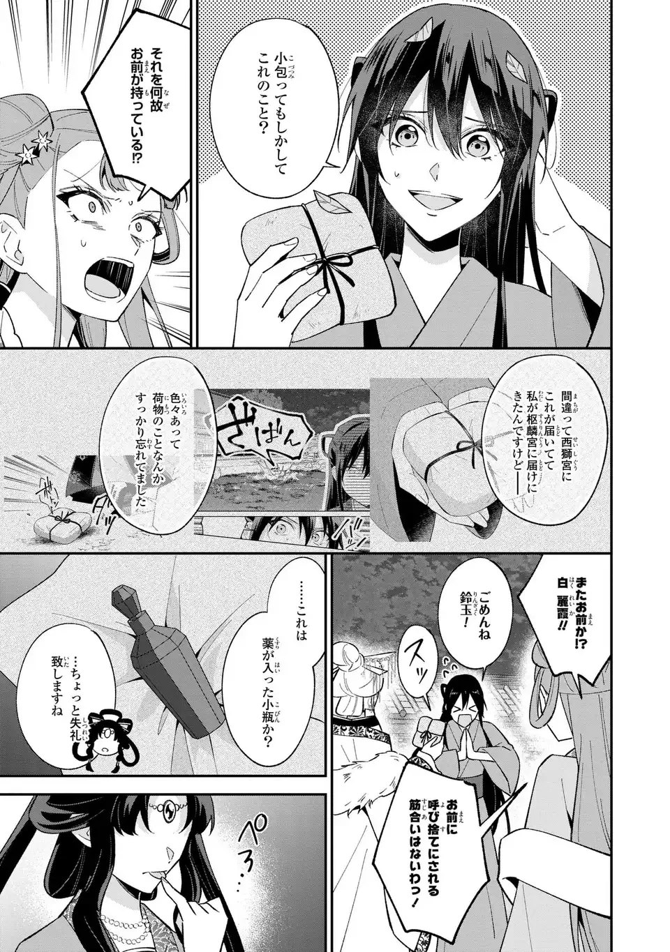 身代わり皇帝の憂鬱～後宮の侍女ですが、入れ替わった皇帝に全てを押しつけられています～ 第14話 - 9