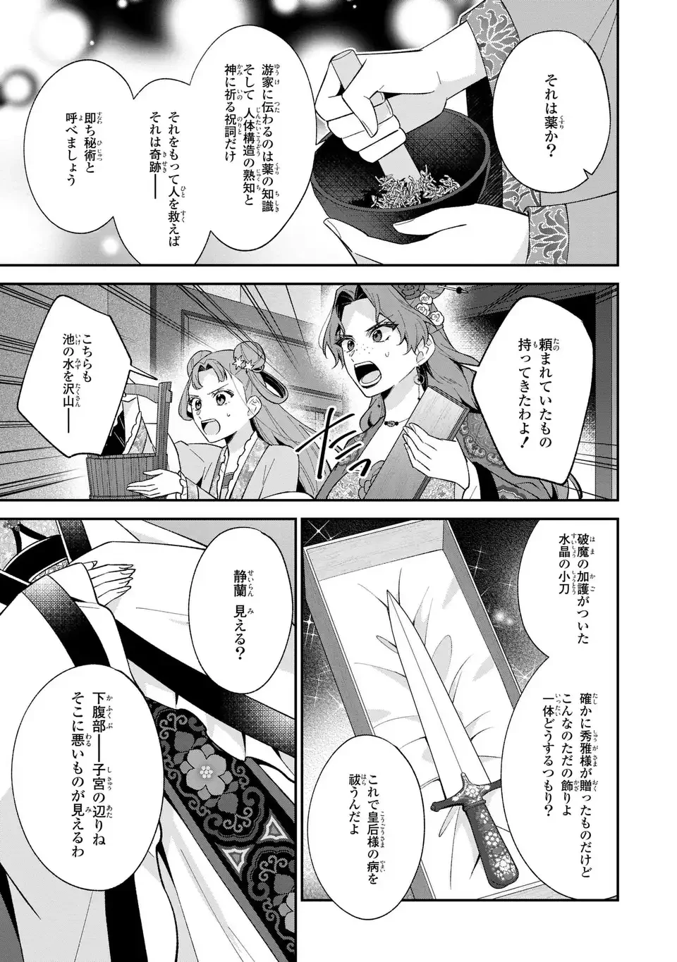 身代わり皇帝の憂鬱～後宮の侍女ですが、入れ替わった皇帝に全てを押しつけられています～ 第14話 - 27