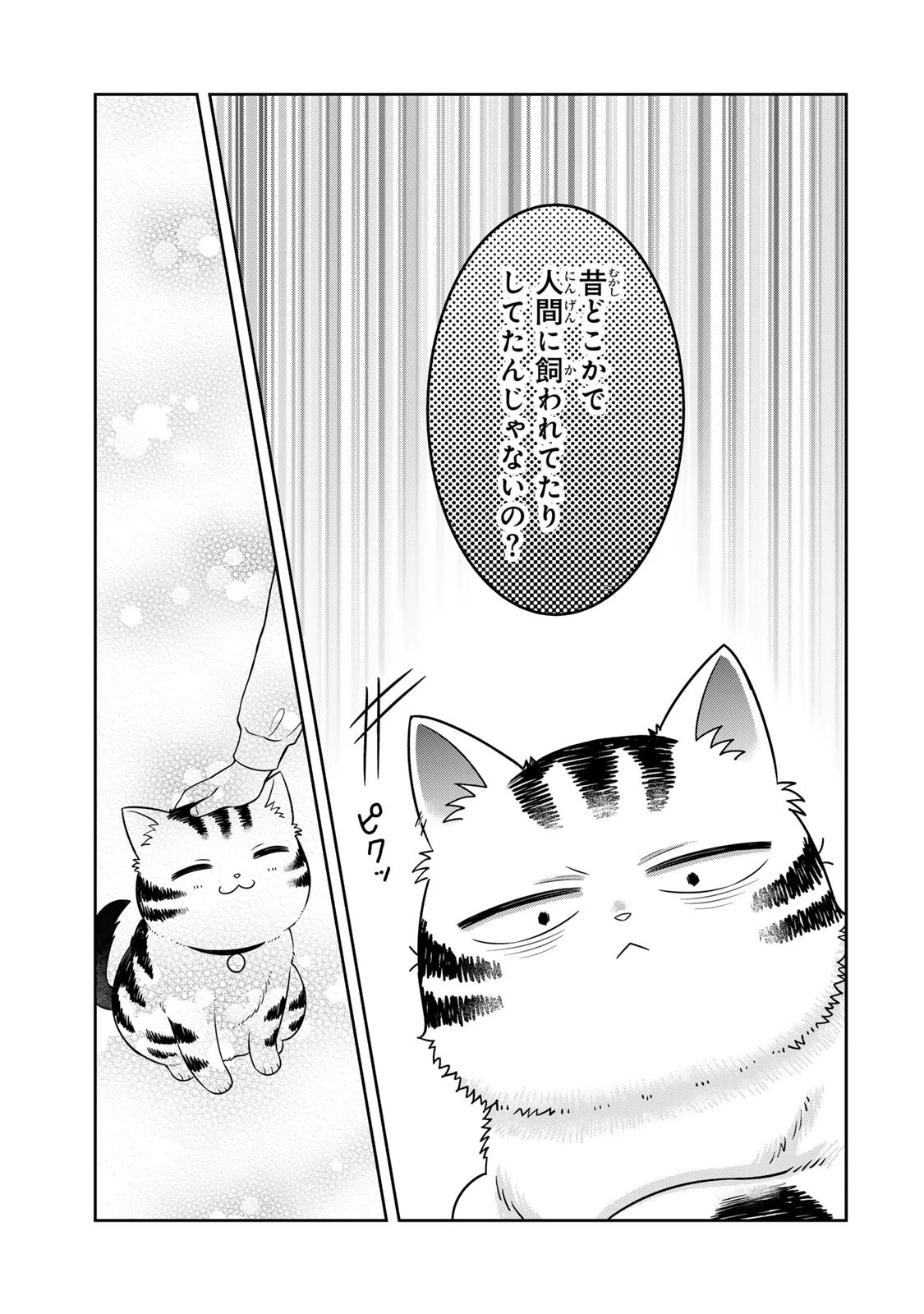 ルドルフとイッパイアッテナ 第4話 - 11