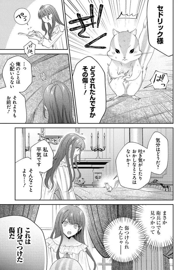 リスになってしまった婚約者が、毛嫌いしていたはずの私に助けを求めてきました。 第10話 - 5