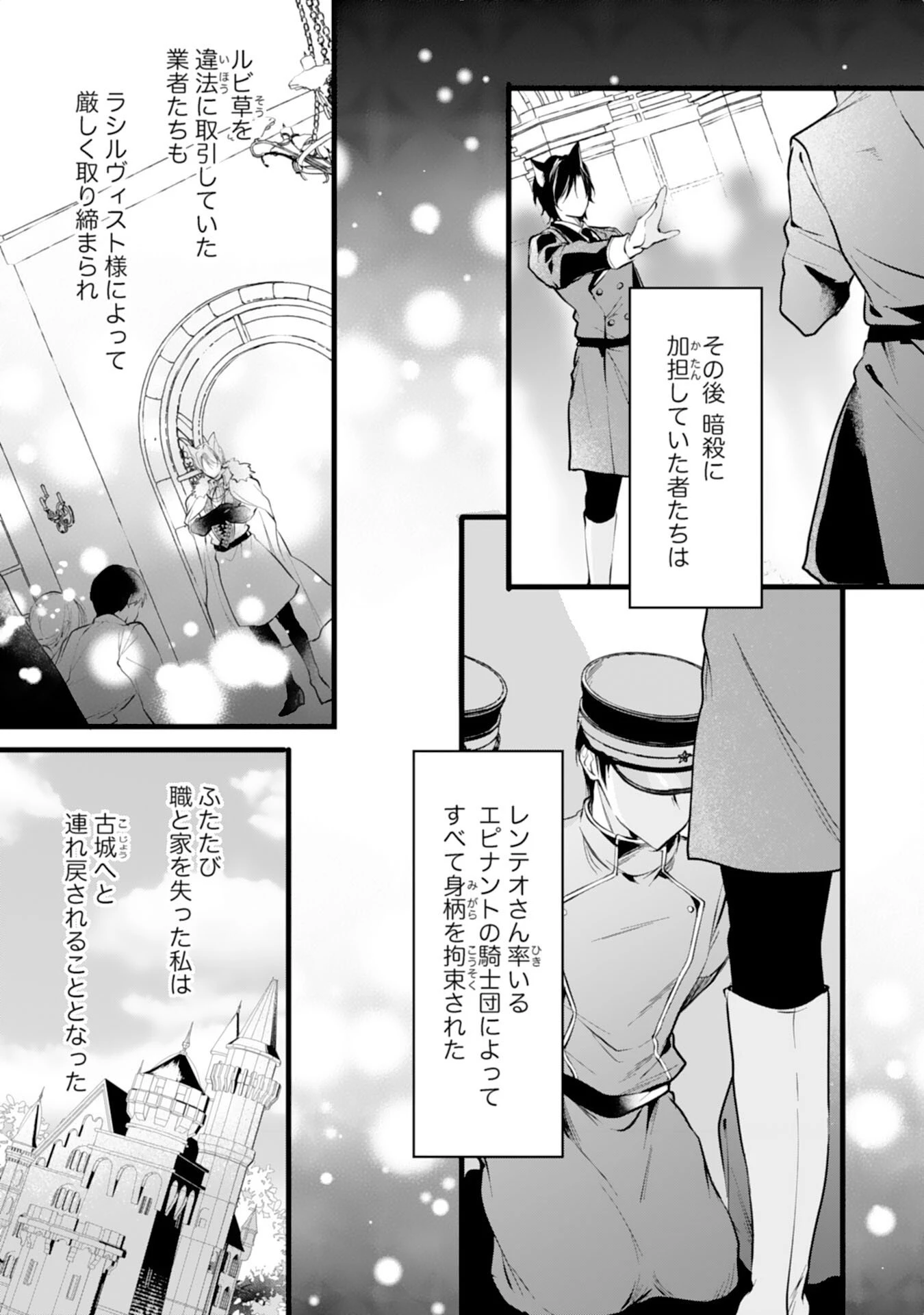 悪女のレッテルを貼られた追放令嬢ですが、最恐陛下の溺愛に捕まりました 第16話 - 9