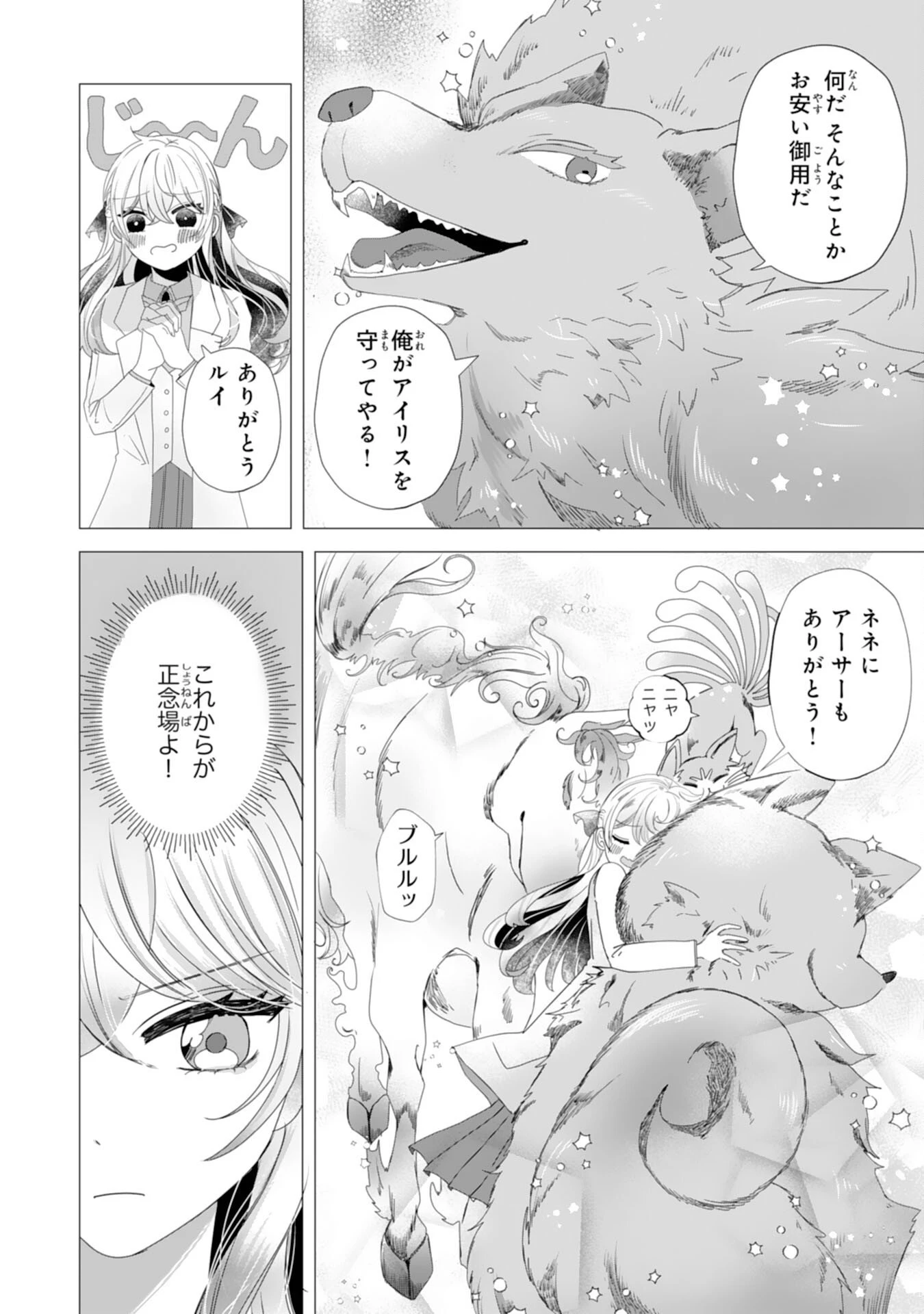 悪役令嬢として婚約破棄されたところ、執着心強めな第二王子が溺愛してきました。 第2話 - 24