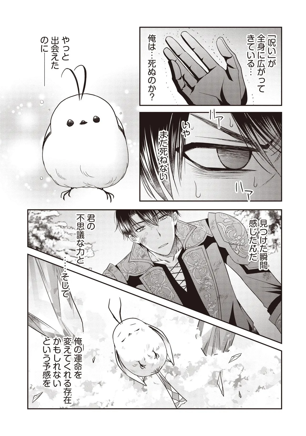 最恐辺境伯に拾われました、小鳥(=悪女?)です 第3話 - 13