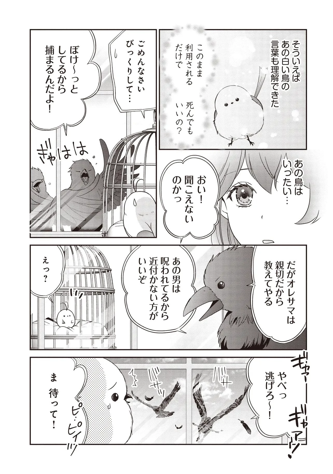 最恐辺境伯に拾われました、小鳥(=悪女?)です 第3話 - 17