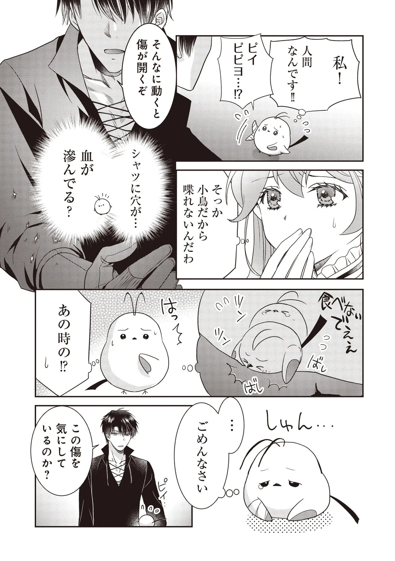 最恐辺境伯に拾われました、小鳥(=悪女?)です 第2話 - 11
