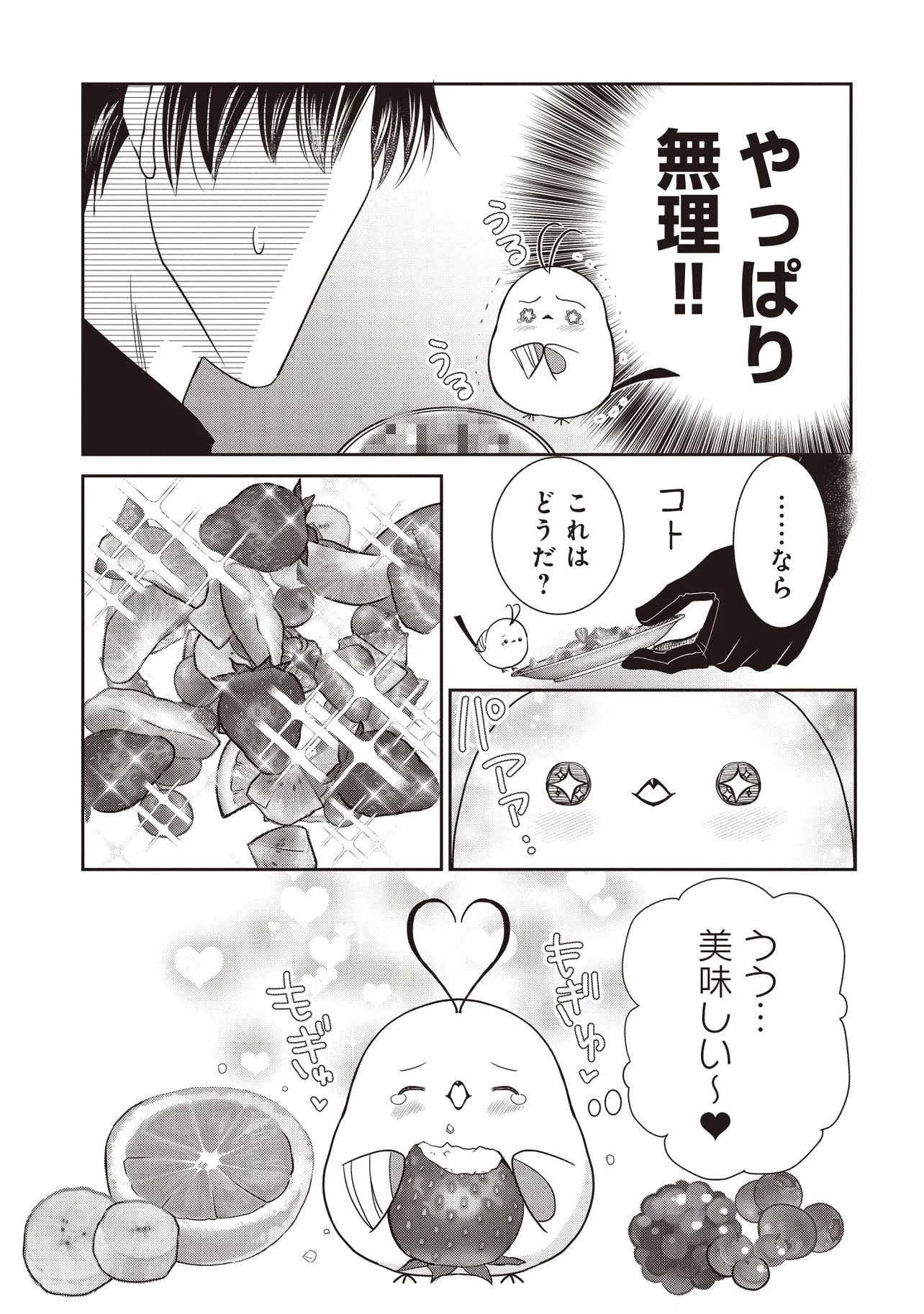 最恐辺境伯に拾われました、小鳥(=悪女?)です 第2話 - 19