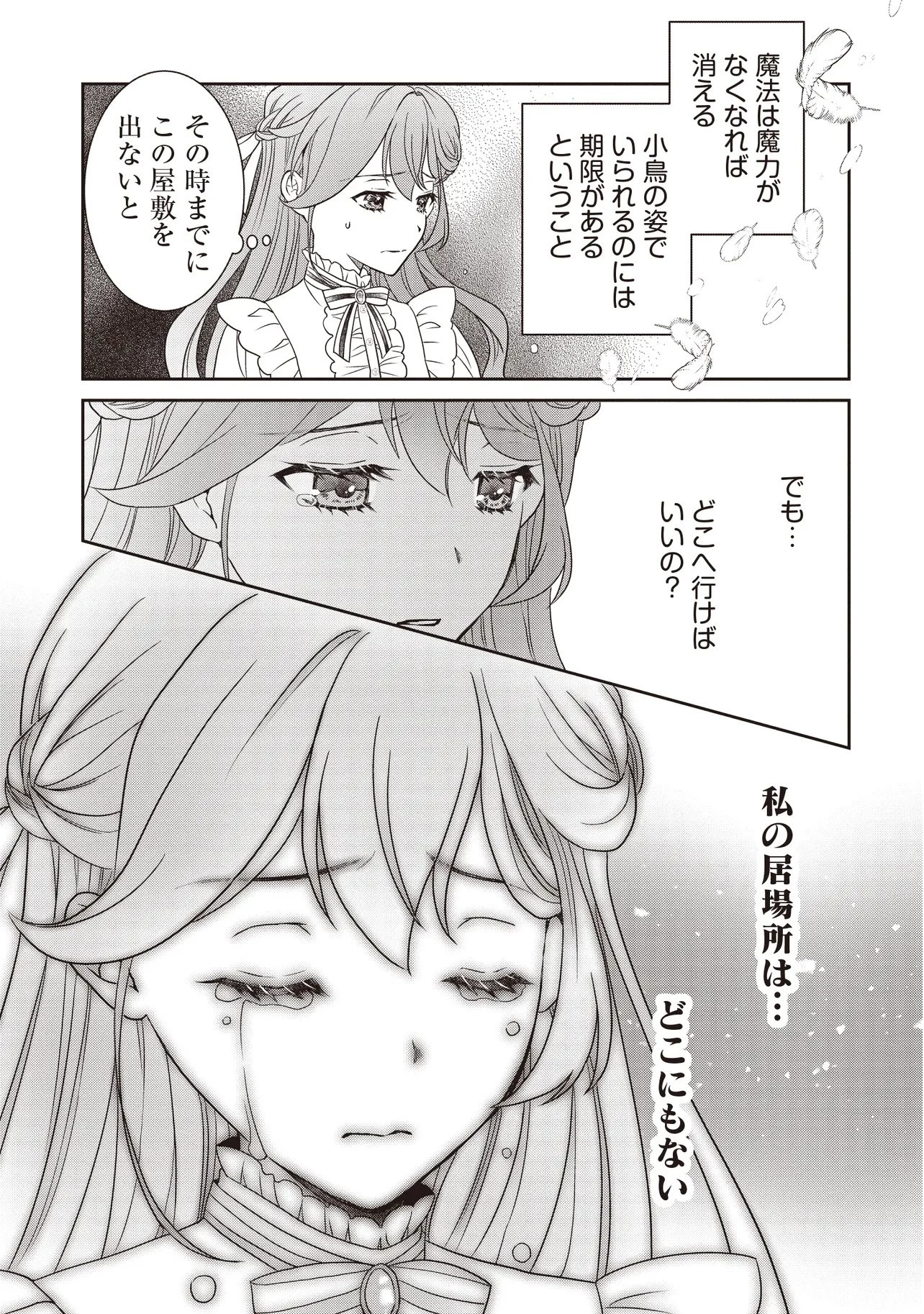 最恐辺境伯に拾われました、小鳥(=悪女?)です 第2話 - 29
