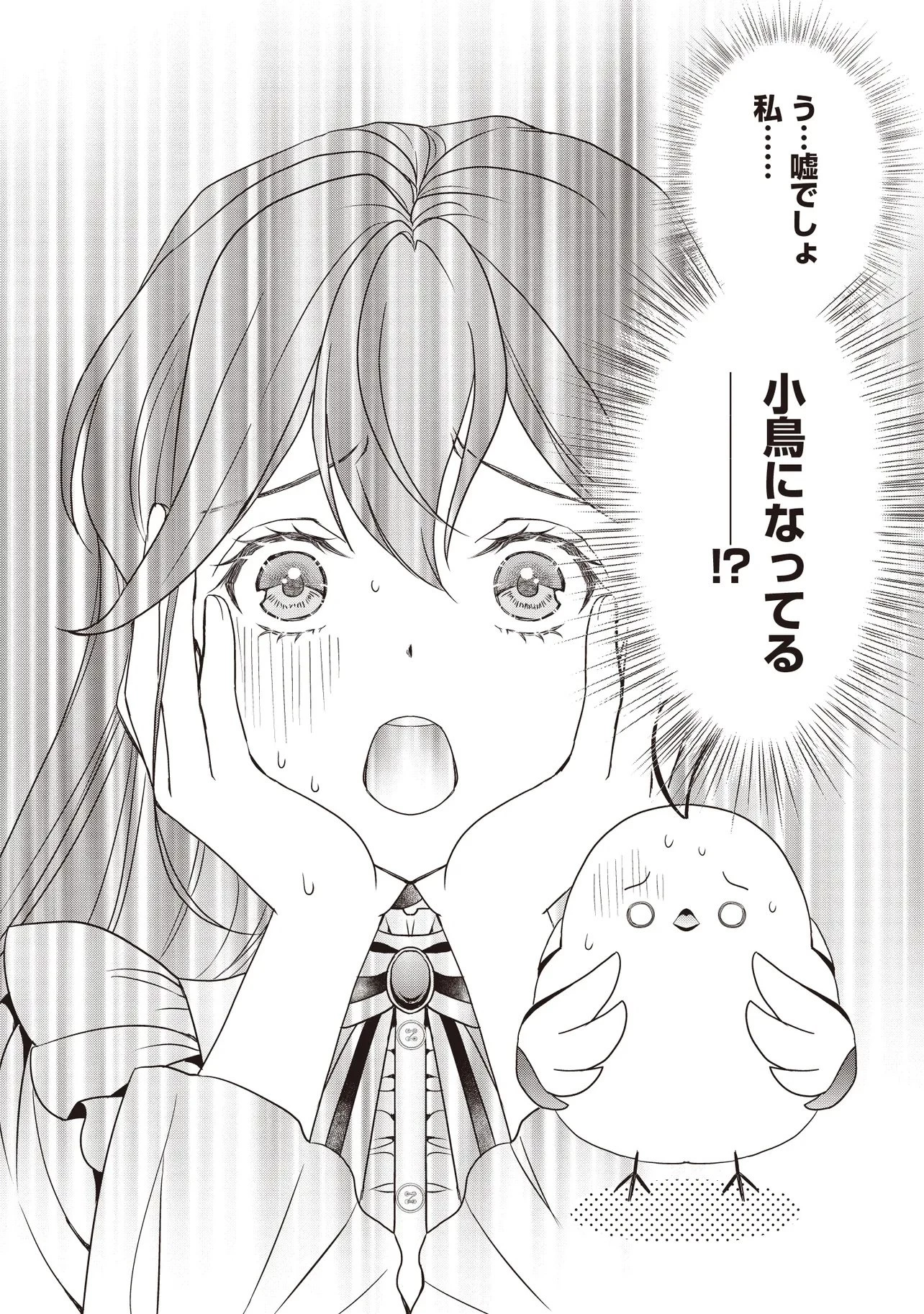 最恐辺境伯に拾われました、小鳥(=悪女?)です 第1話 - 38