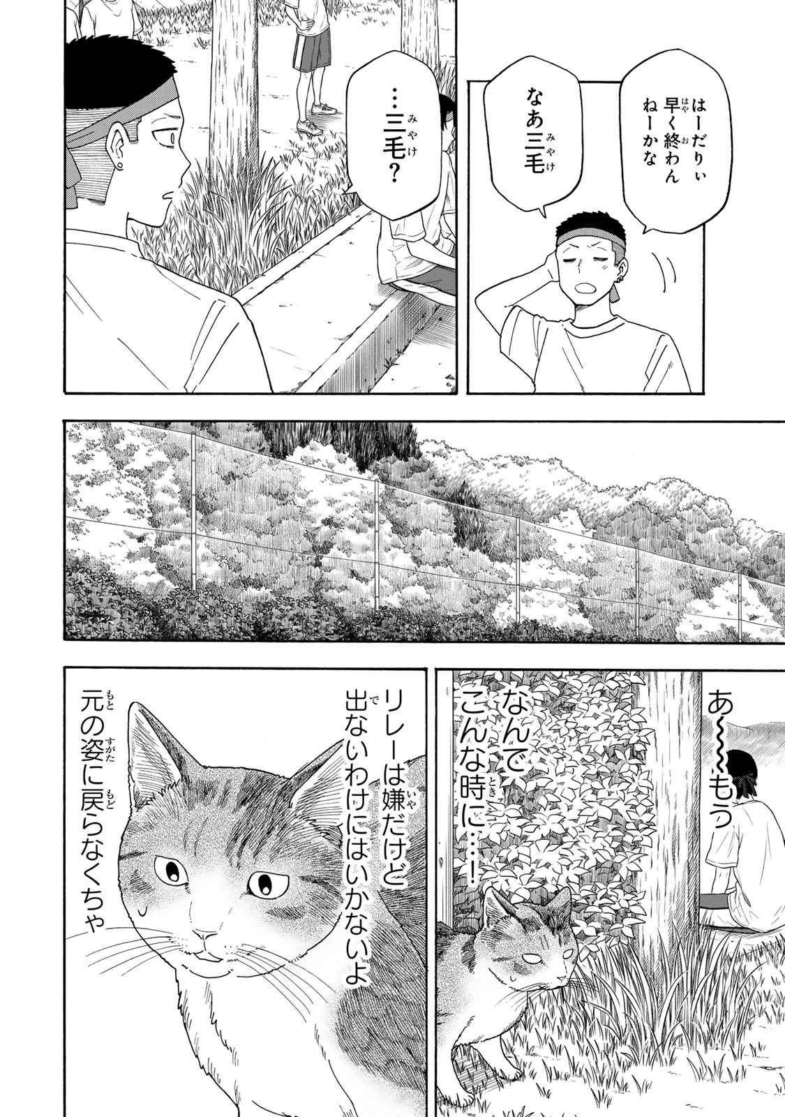 遊月は猫になる 第11話 - 6