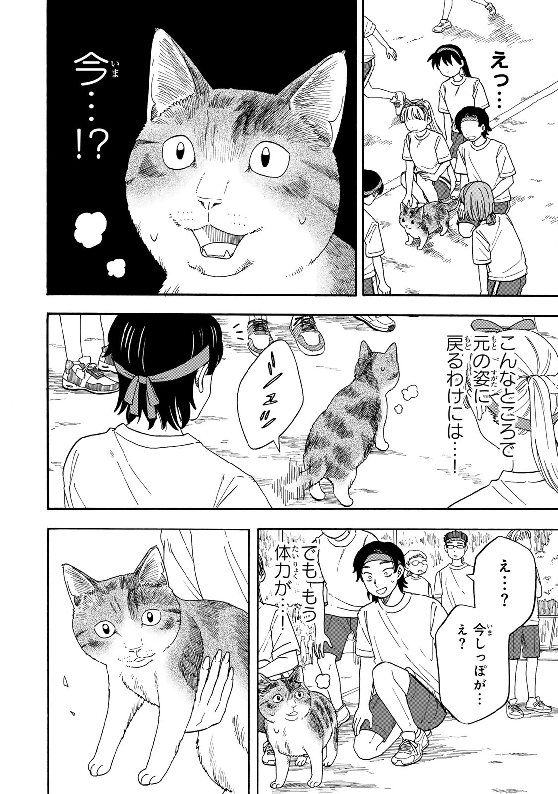 遊月は猫になる 第11話 - 22