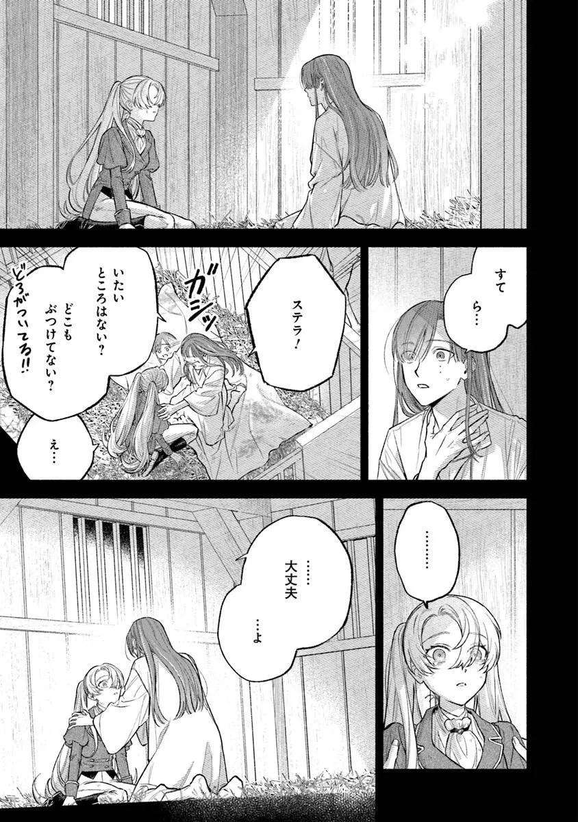 前世冷徹王子の馬でした ～人になっても貴方を愛していいですか？～ 第17話 - 17